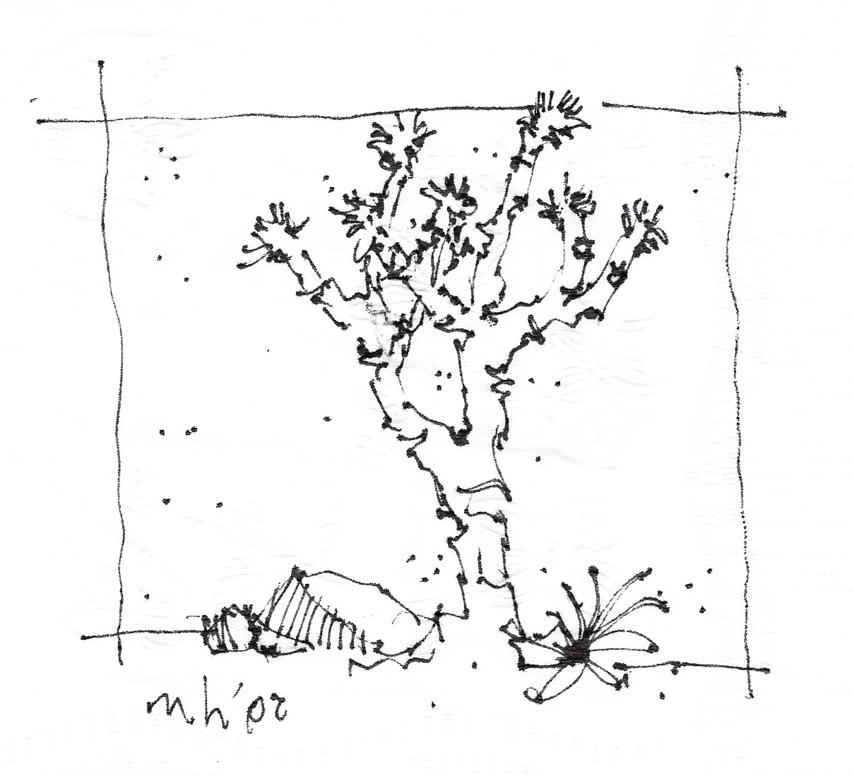 Sketchbooks_PlantStudies_3_Edited_150.jpg