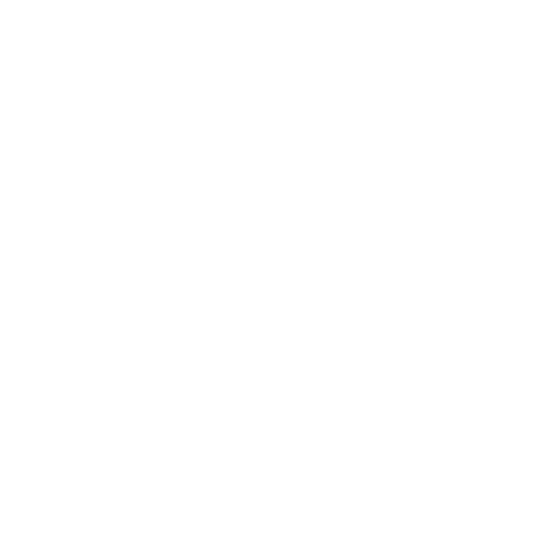 Lake Ridge Community Support Services