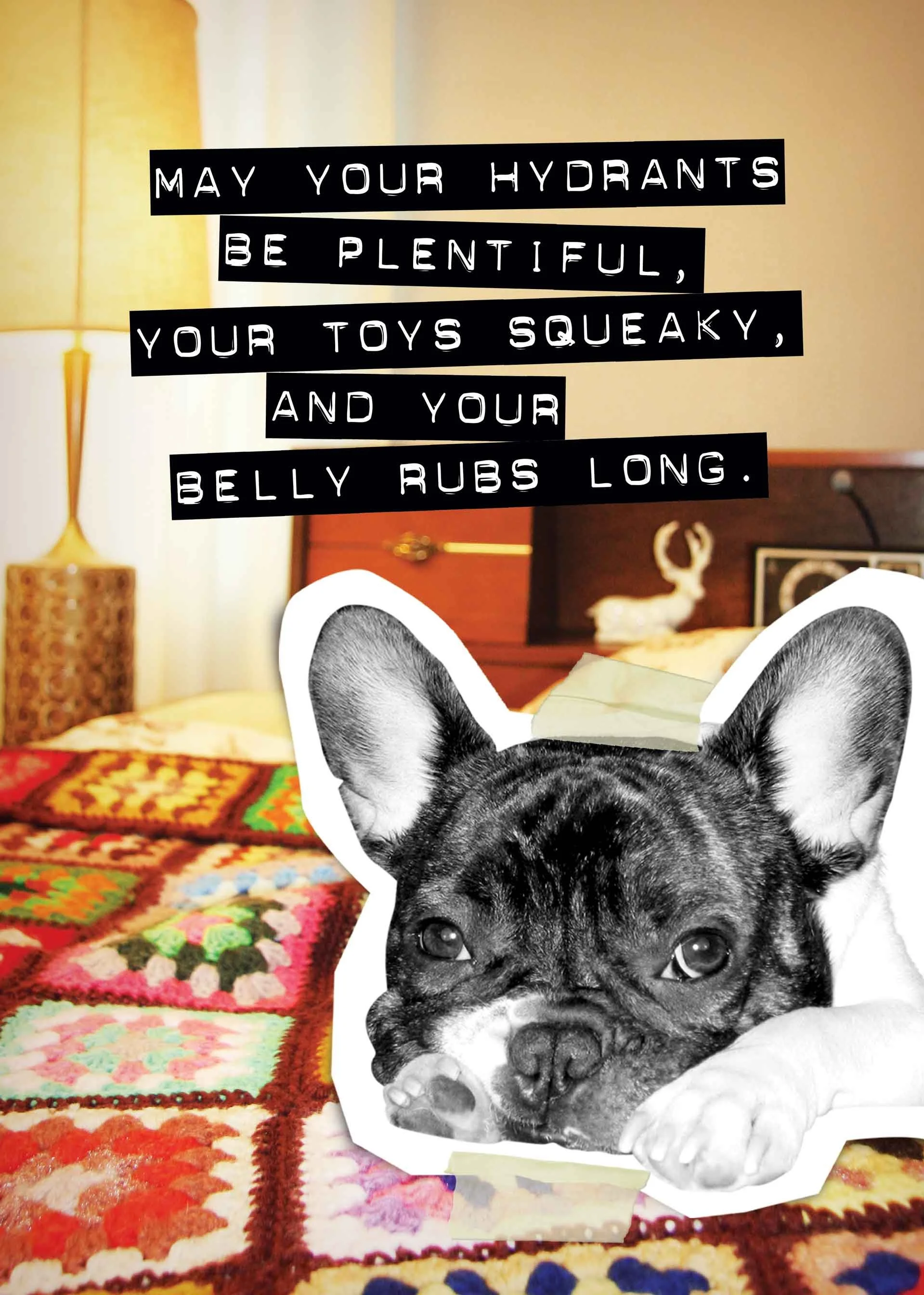Decorative bedroom scene with a black and white photo of a French Bulldog puppy in front of a colorful quilt, with a green and white tissue box on its head, and a quote about taking care of pets and personal hydration on the wall.