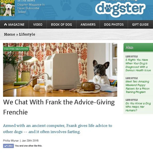 A dog sitting on a table with an old computer and computer accessories, in a room with patterned curtains, plants, and various objects, resembling a humorous scene from a magazine article.