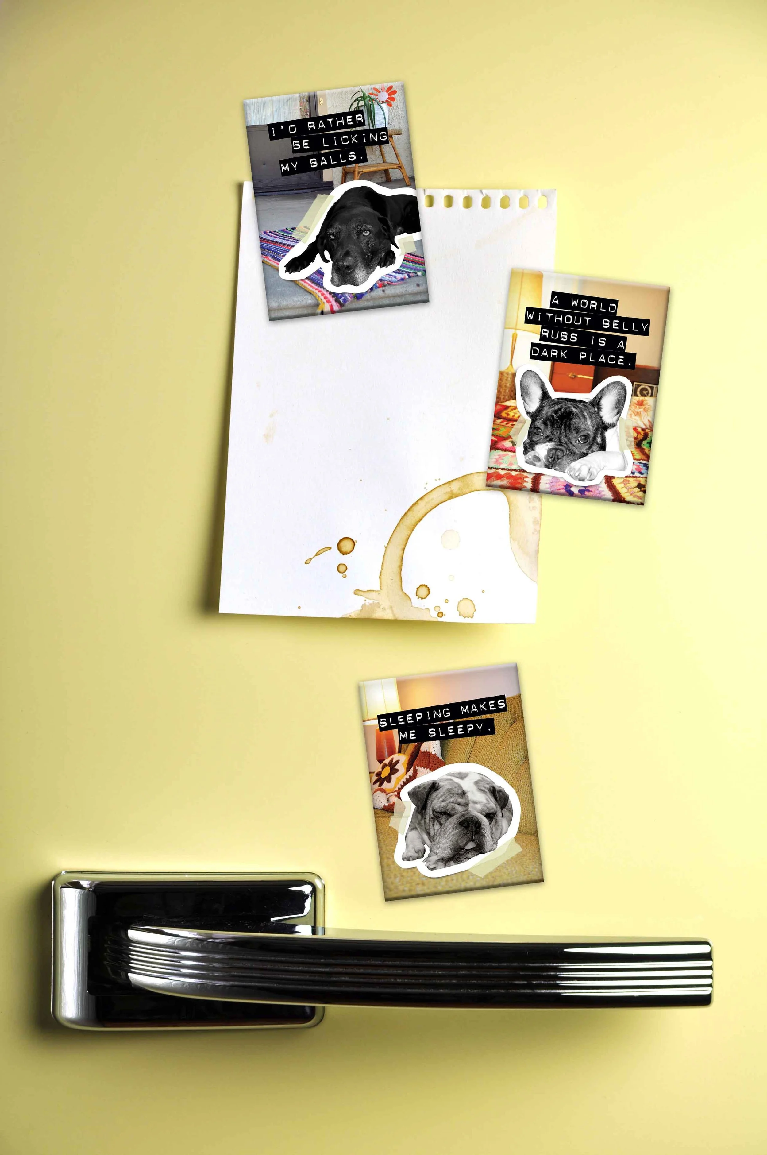 Yellow door with black handle, three photos of dogs with humorous captions taped to it