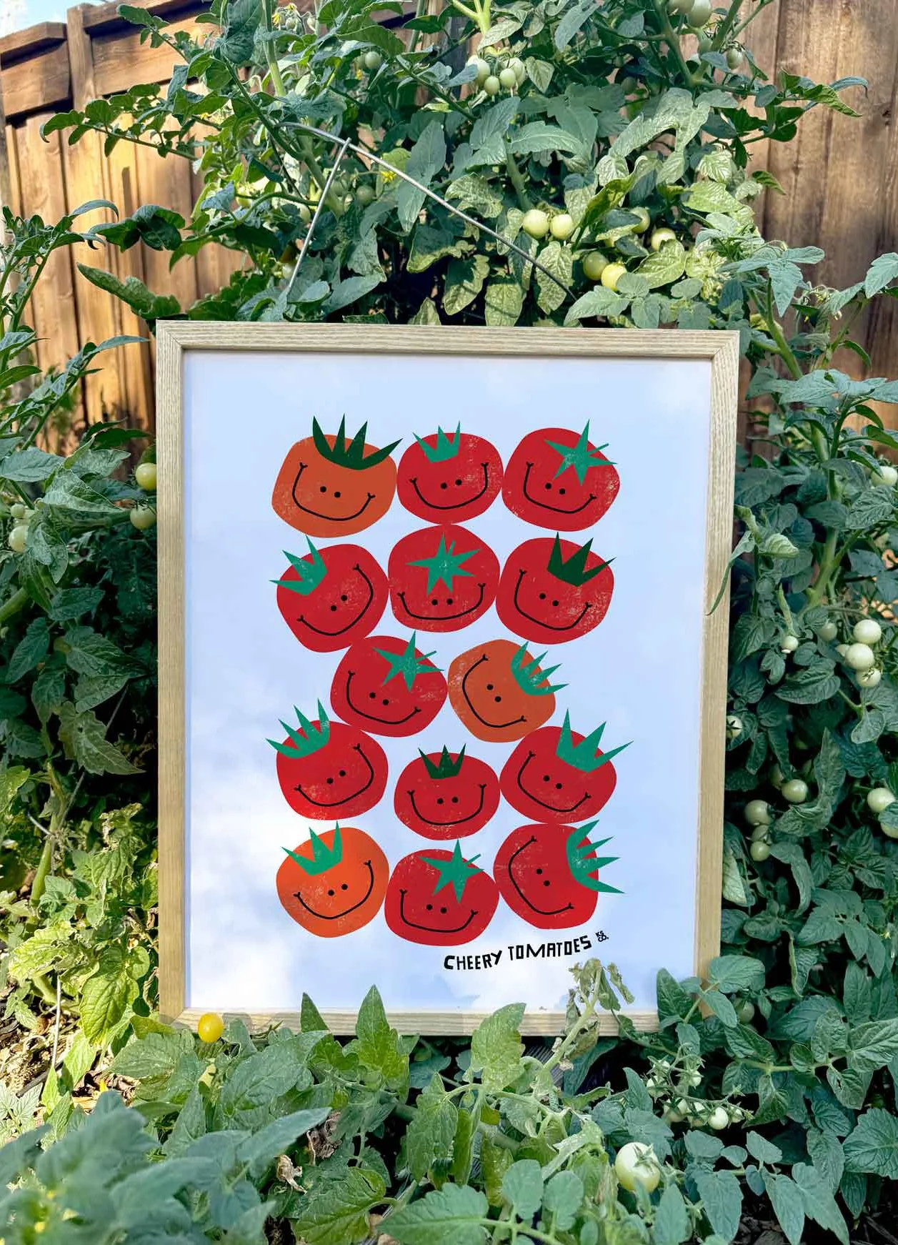 A framed illustration of smiling tomatoes, some with crowns, placed outdoors among green tomato plants with ripening green tomatoes and wooden fencing in the background.