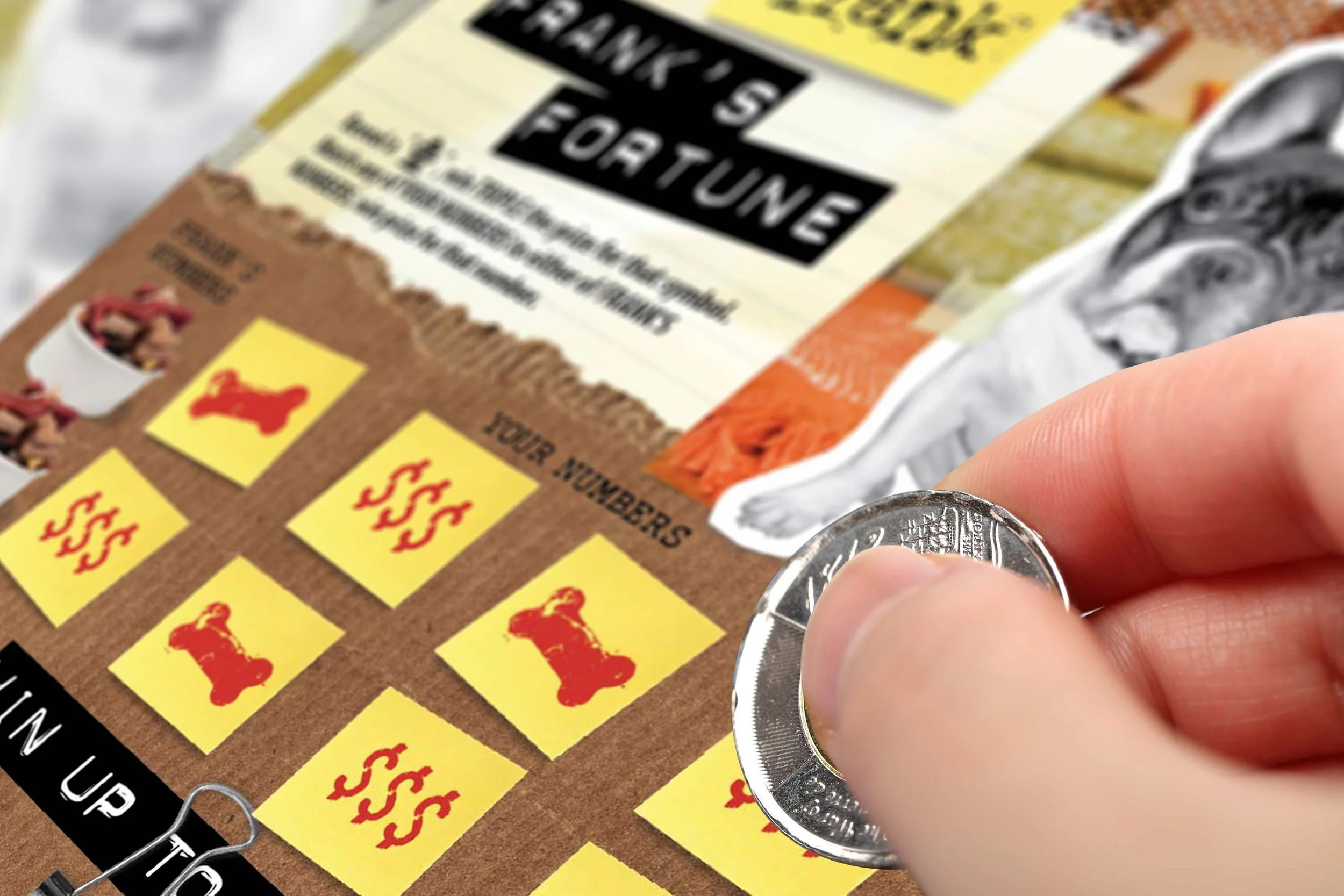 A person holding a quarter over a scratch-off lottery ticket with a dog theme. The ticket has yellow boxes with red dog icons and dollar signs, and text that says 'Thank You for Your Support' at the top.
