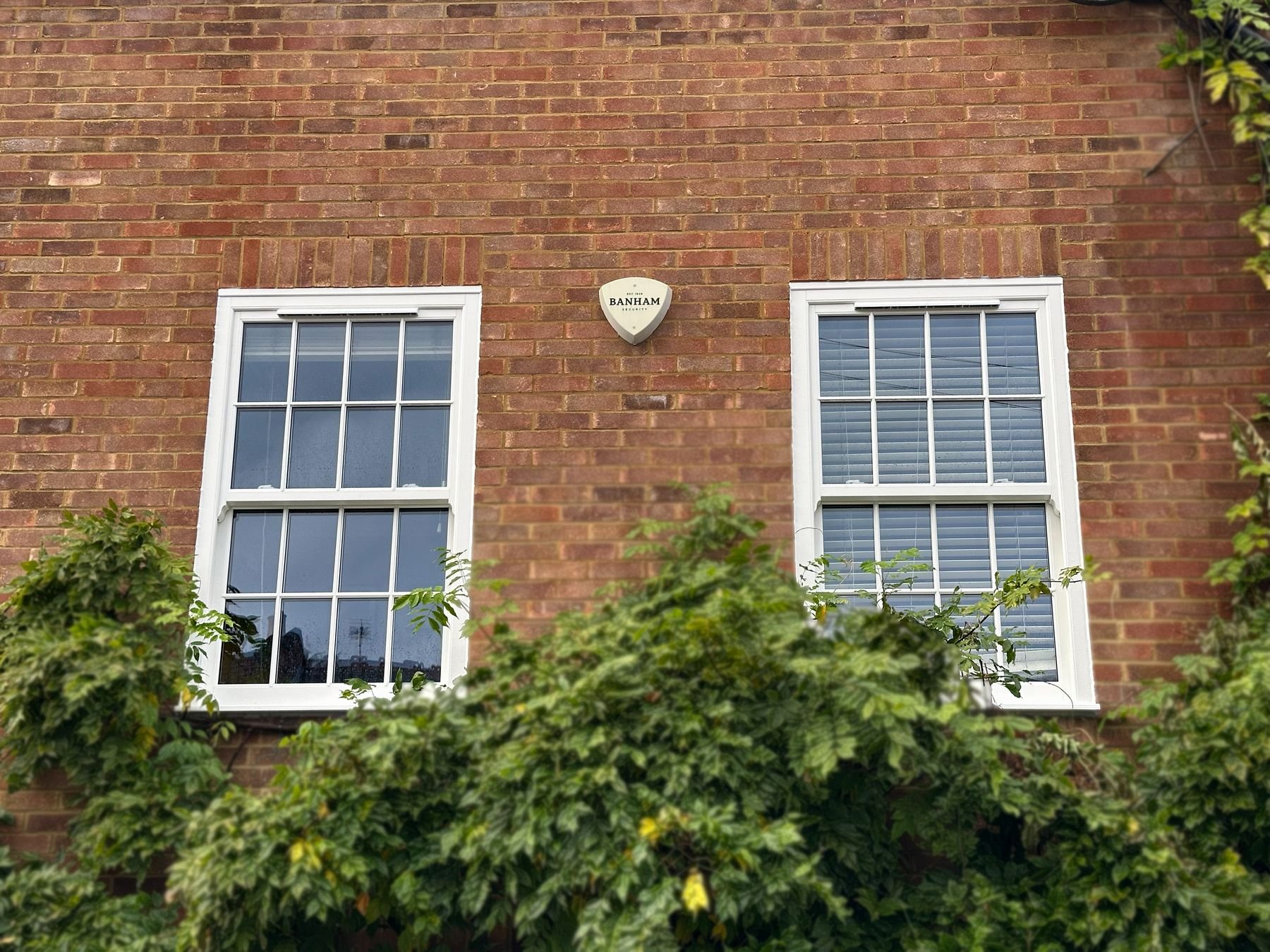 oakwood-sash-windows-brick-georgian-exterior.jpg