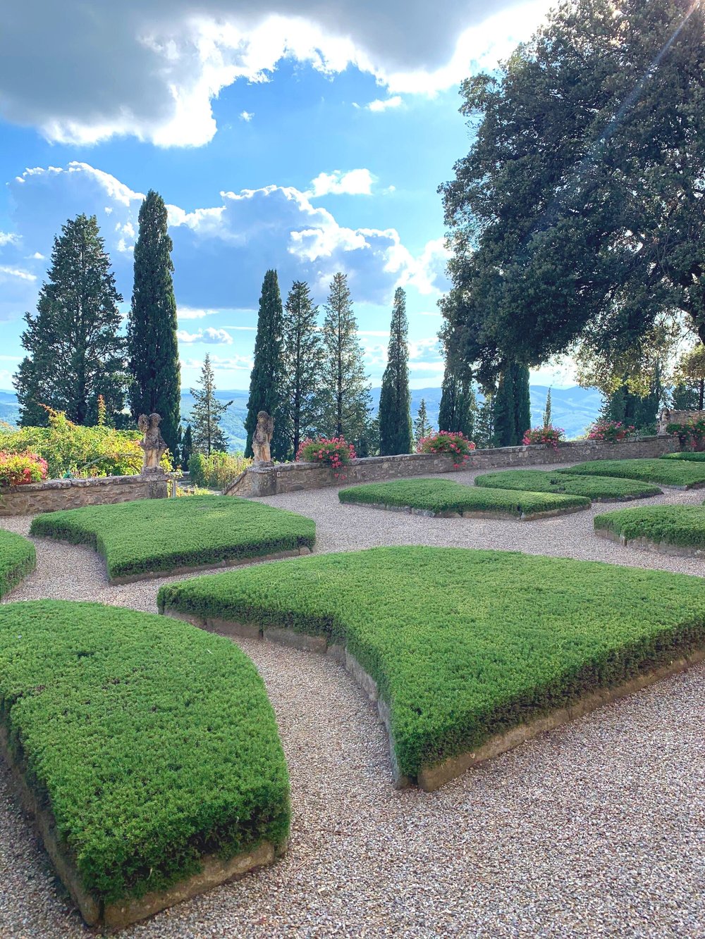 Hedges of Rosemary at the private residence