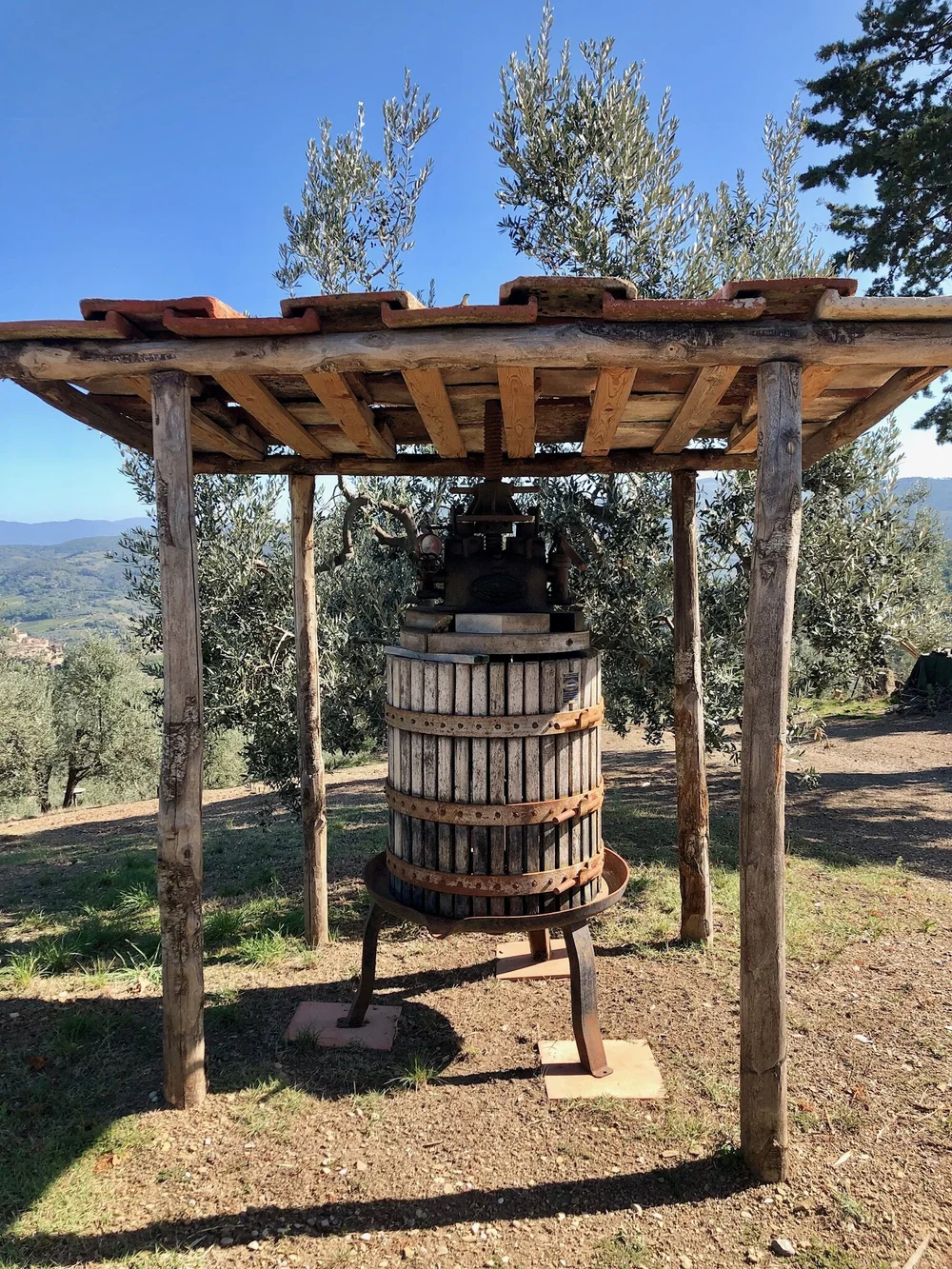   Azienda Agricola Altiero  