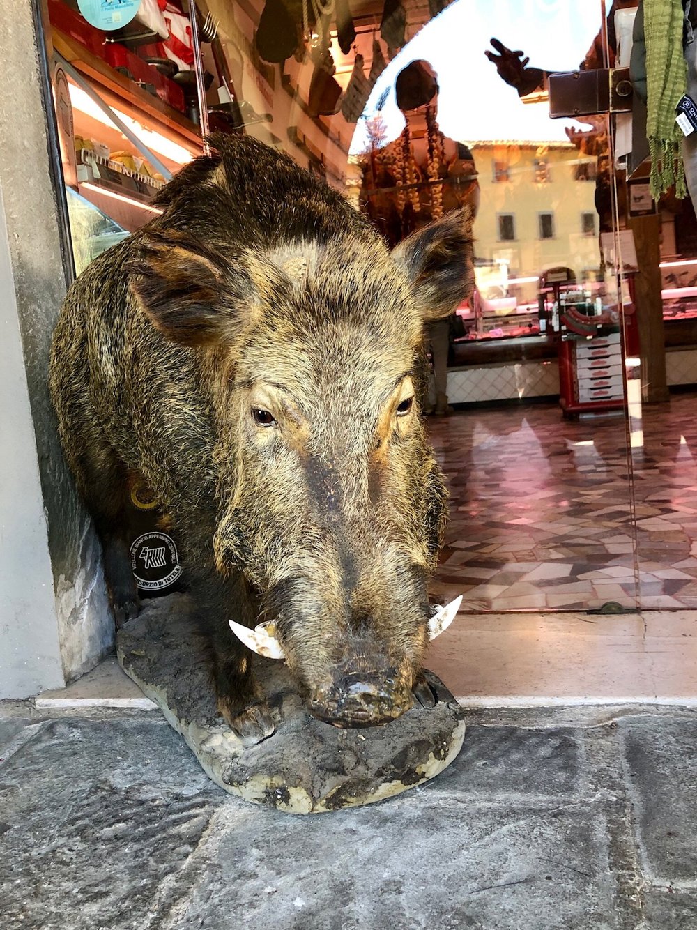 An ode to the wild boar