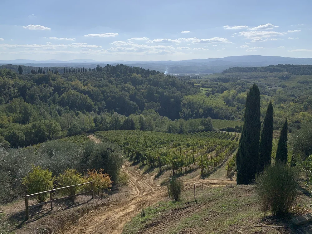 Never tire of the view