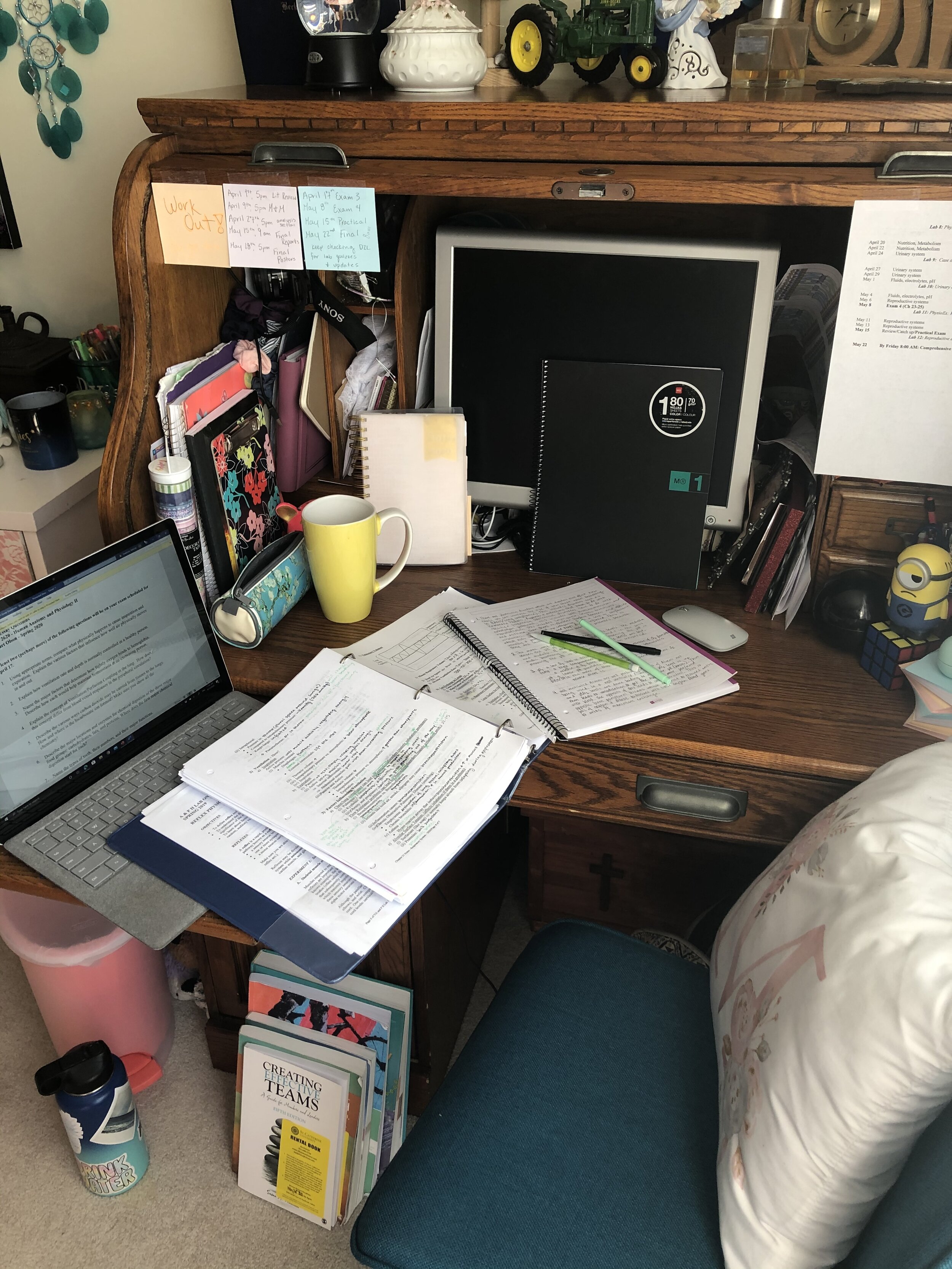 Showing off her home office space here is Melody Swanson ‘22 (Applied Science in Exercise Science Pre-Physical Therapy).