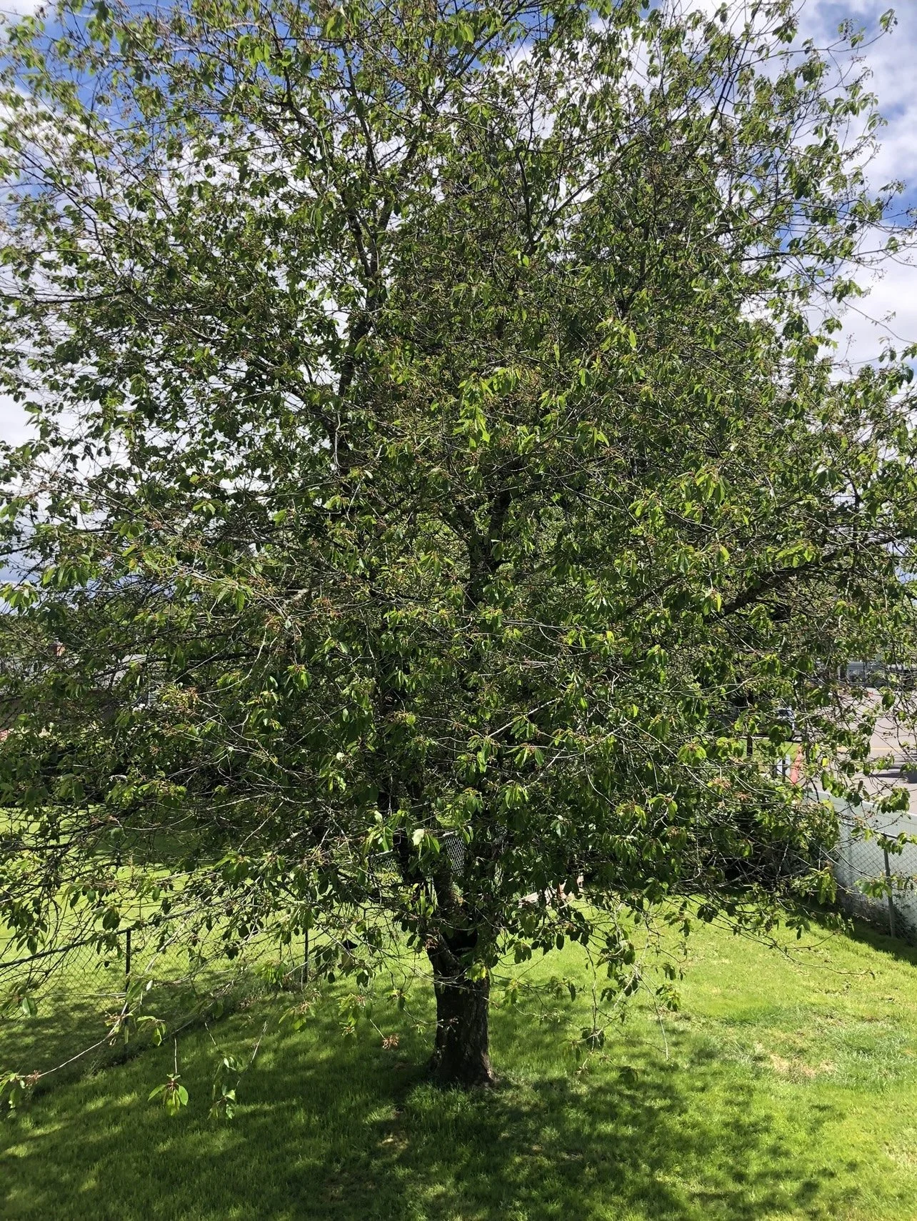 Special Edition Fall 2022: What Makes a Home Your Home?