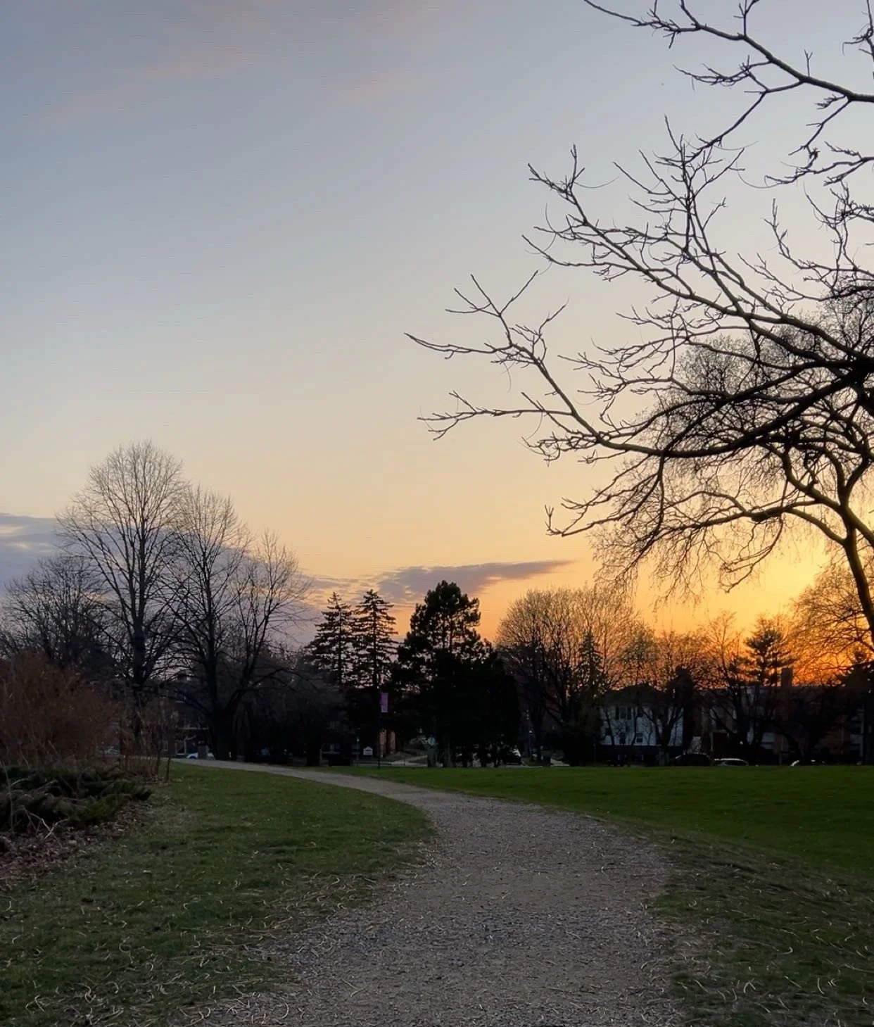 An end-of-the-year reflection 