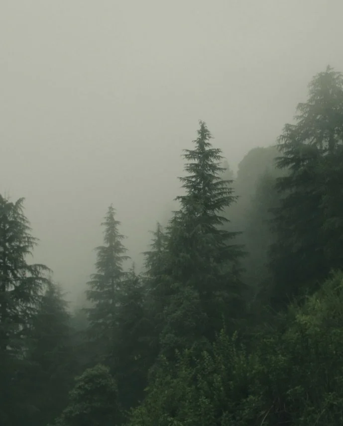 The Consequence of Imagination