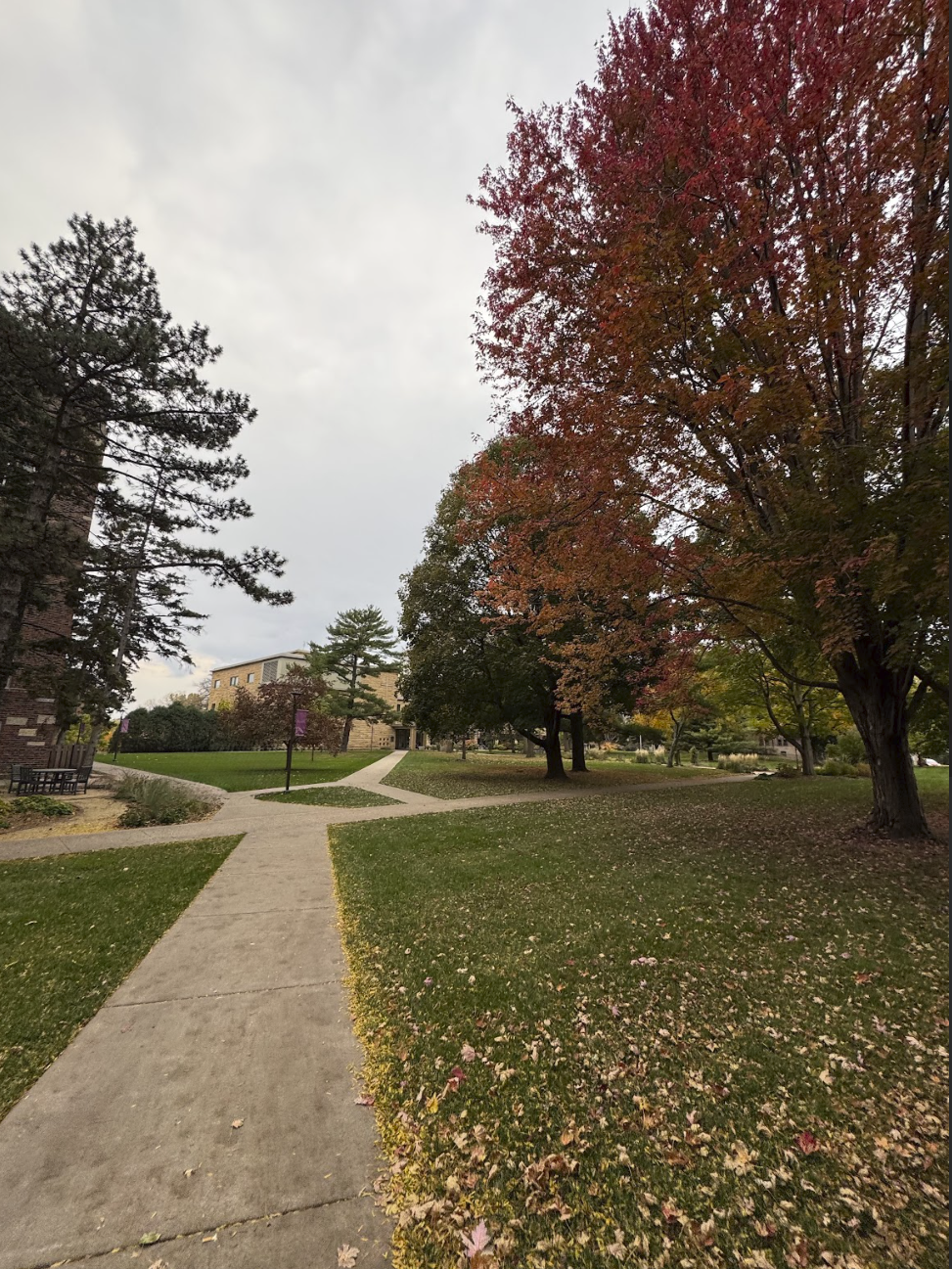 Faith, Identity, and Campus Life: What It’s Like Navigating St. Kate’s as a Muslim Woman