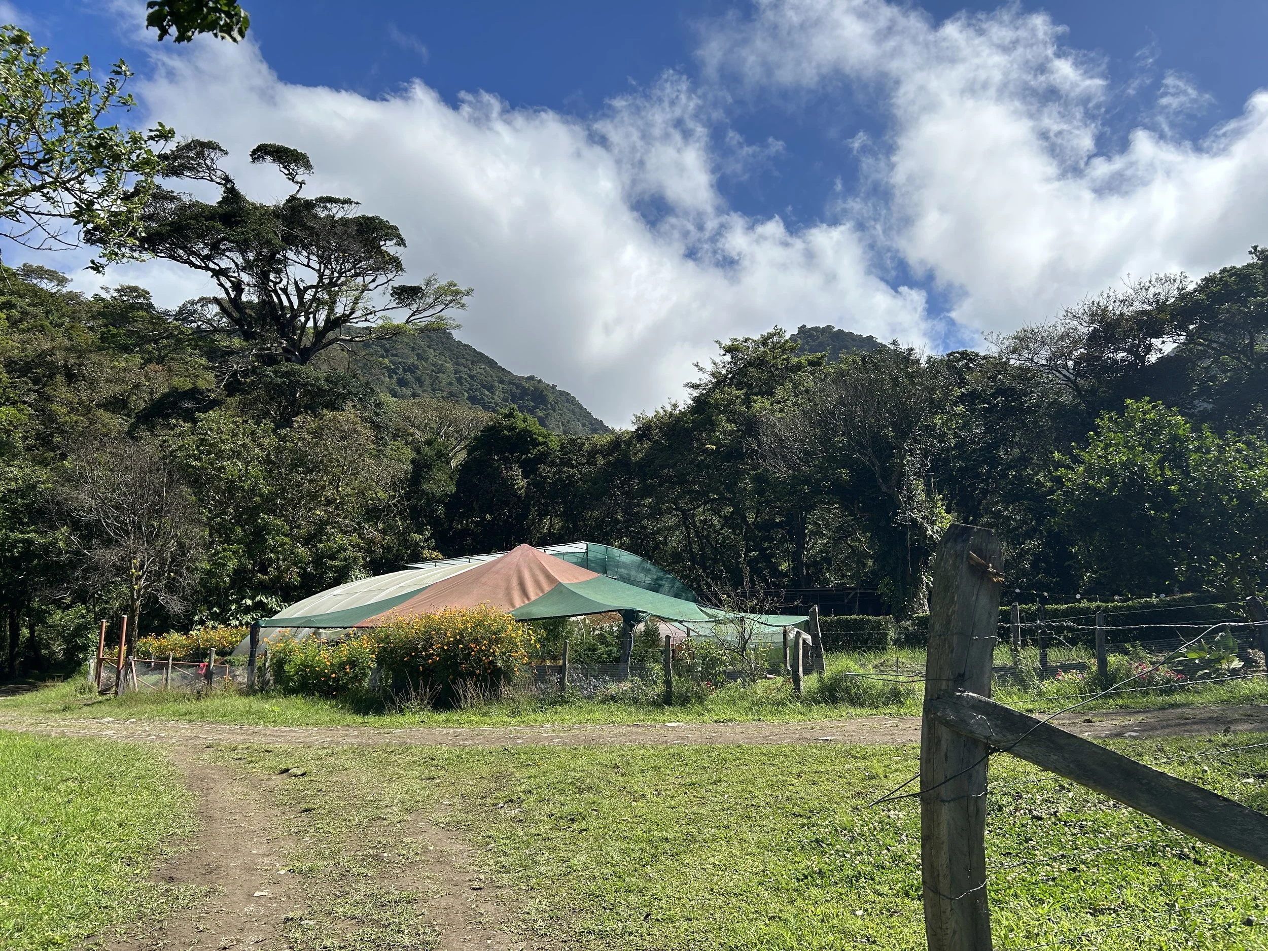 We are Nature’s Guests: Studying Abroad in Costa Rica