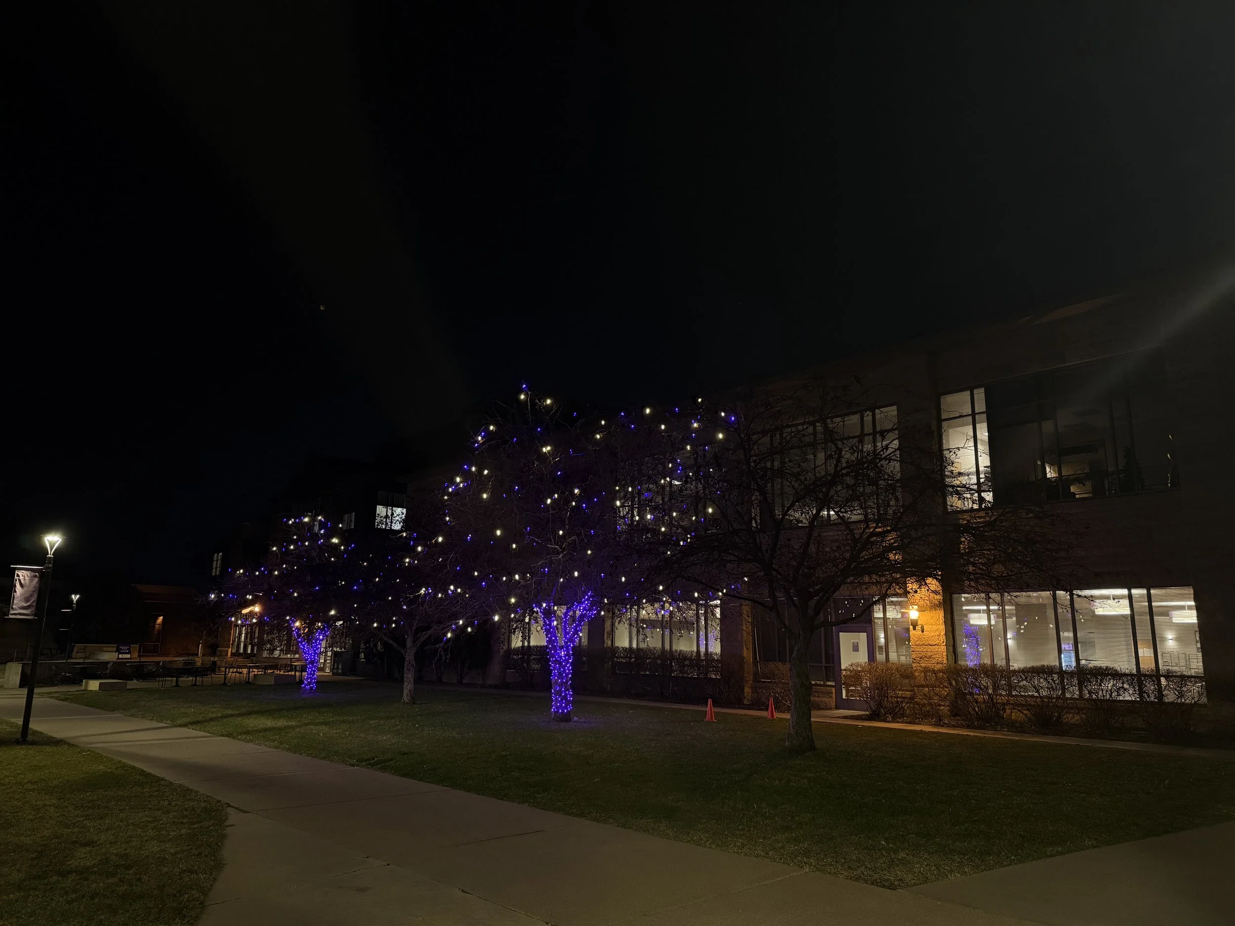 St. Kate’s: Educating Women to Lead and Influence (within reason)