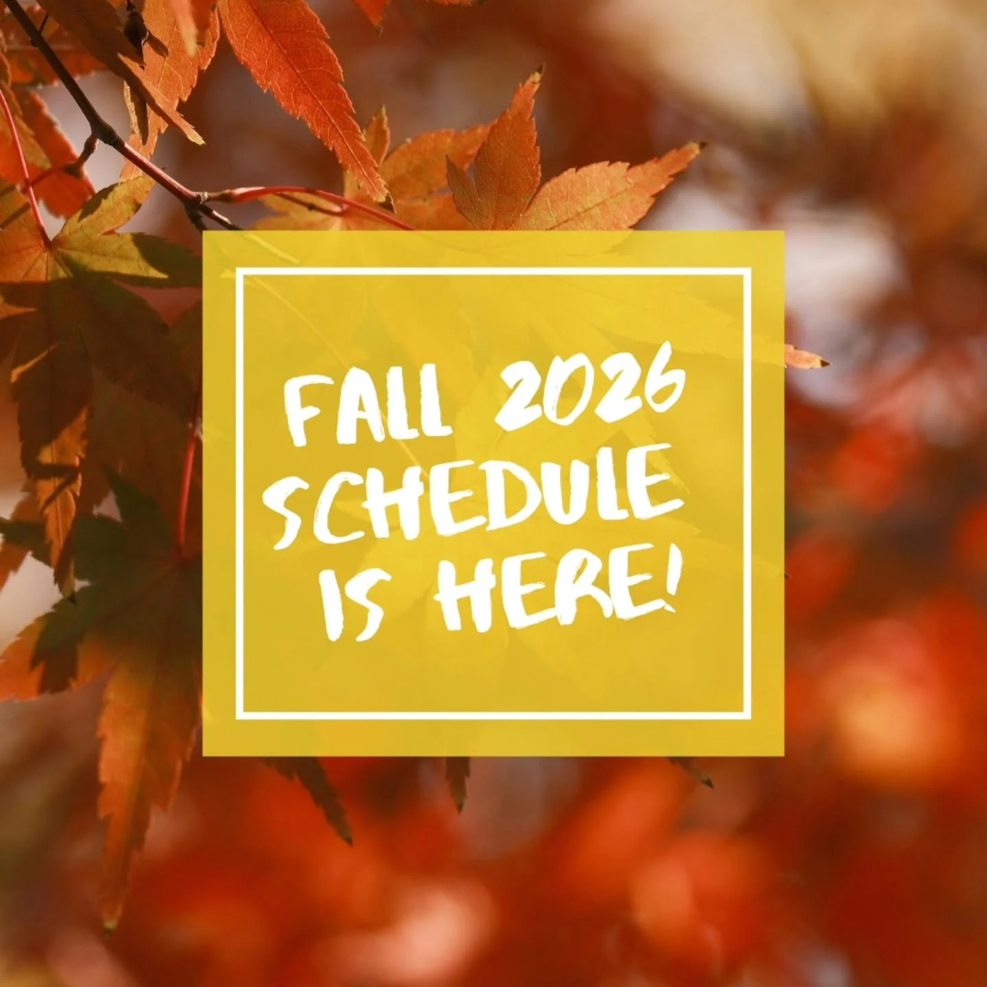 🍂 Fall at Little Feet is here! 🍂

This summer was FULL of adventure&mdash;biking around Mackinac Island, hiking to waterfalls, exploring Pictured Rocks, and plenty of time in the sun, water &amp; sand. ☀️🌊

All of that time exploring, playing, and