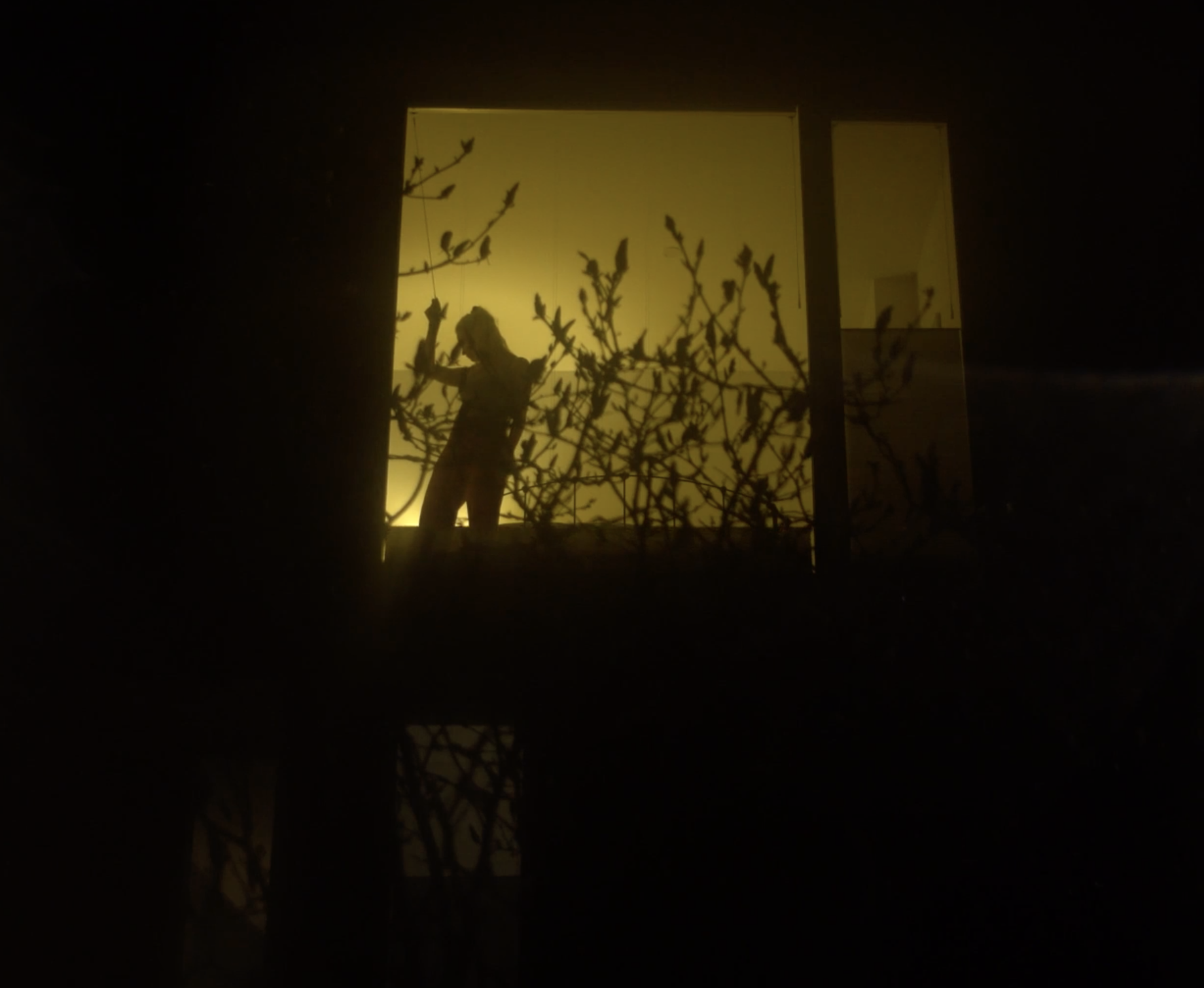 Screen Shot 2020-07-21 at 4.40.50 PM.png