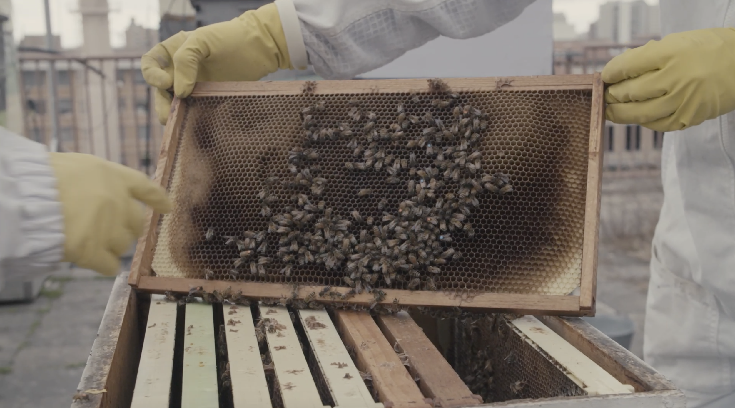 Screen Shot 2022-12-06 at 9.44.27 AM.png