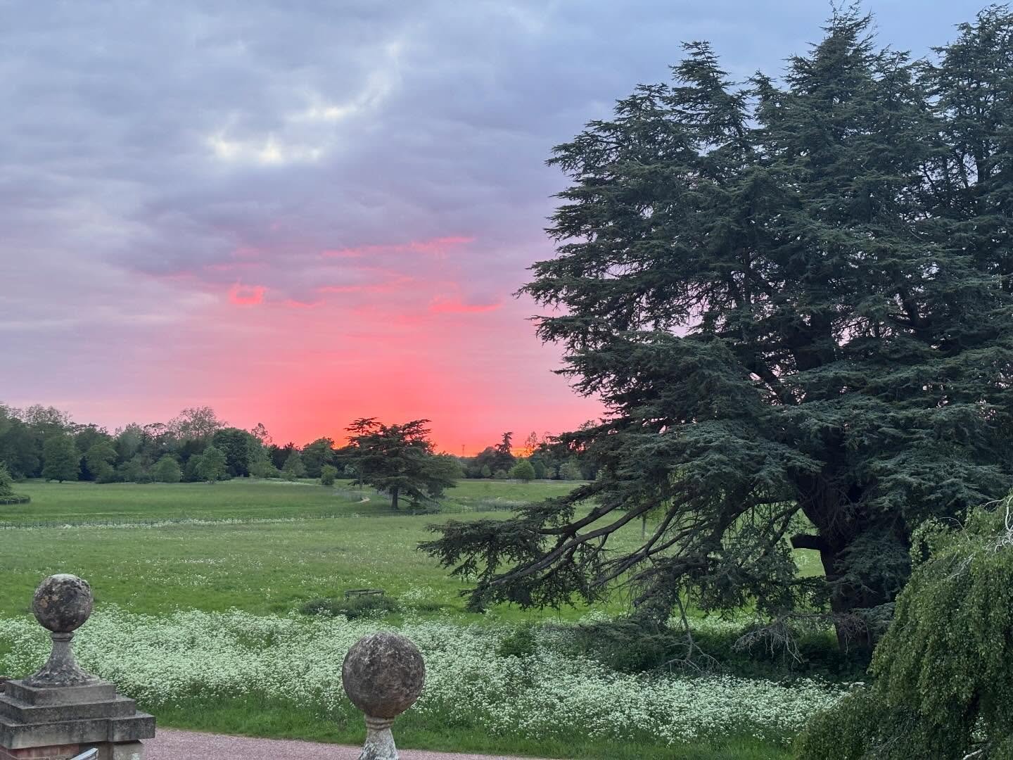 This evening the sky decided to be a color I had not seen it be before ❤️