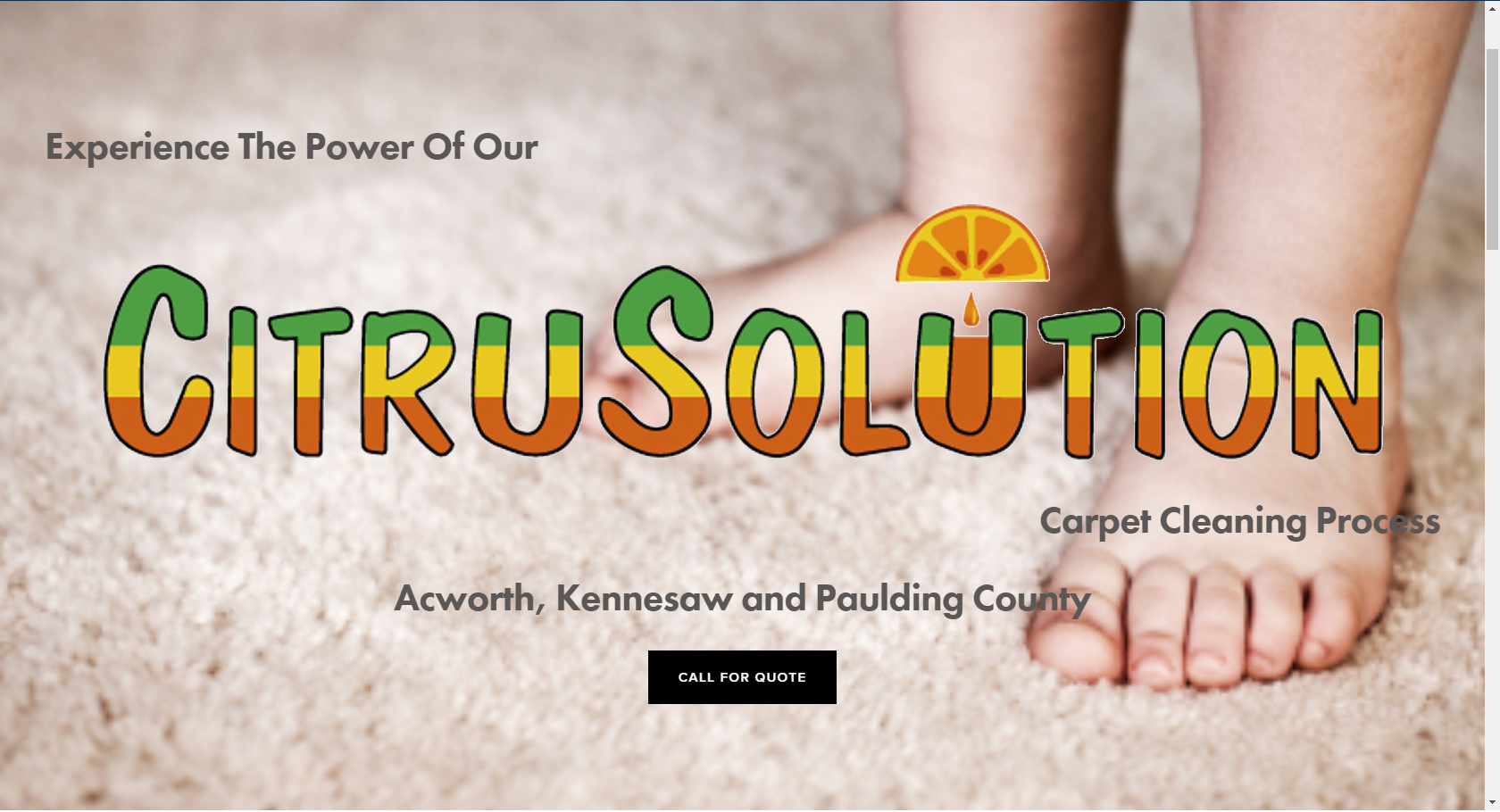 The Citrusolution Three Step Cleaning Process Carpet Best Paulding County Kennesaw And Acworth