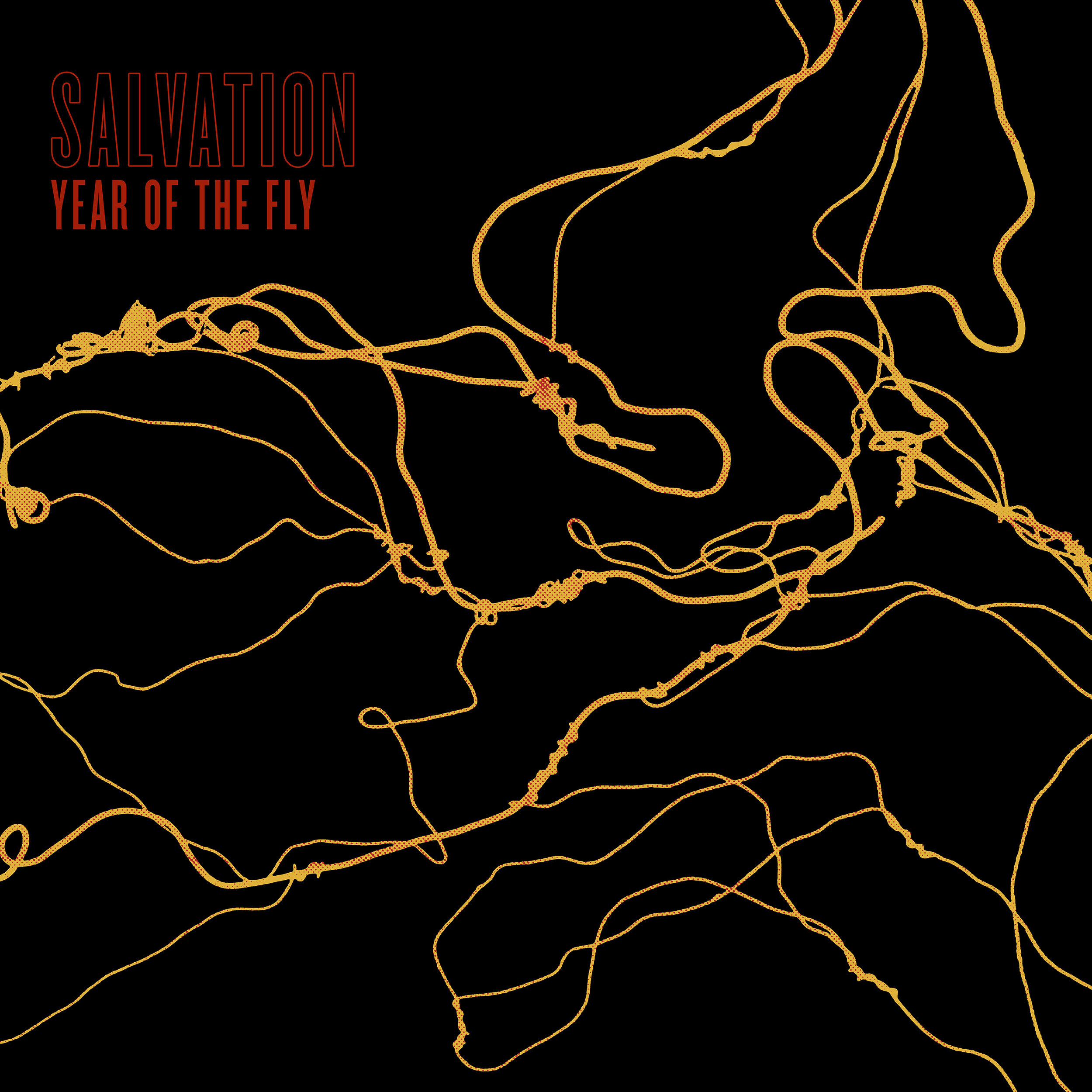 FAR-053 Salvation - YEAR OF THE FLY LP/CD