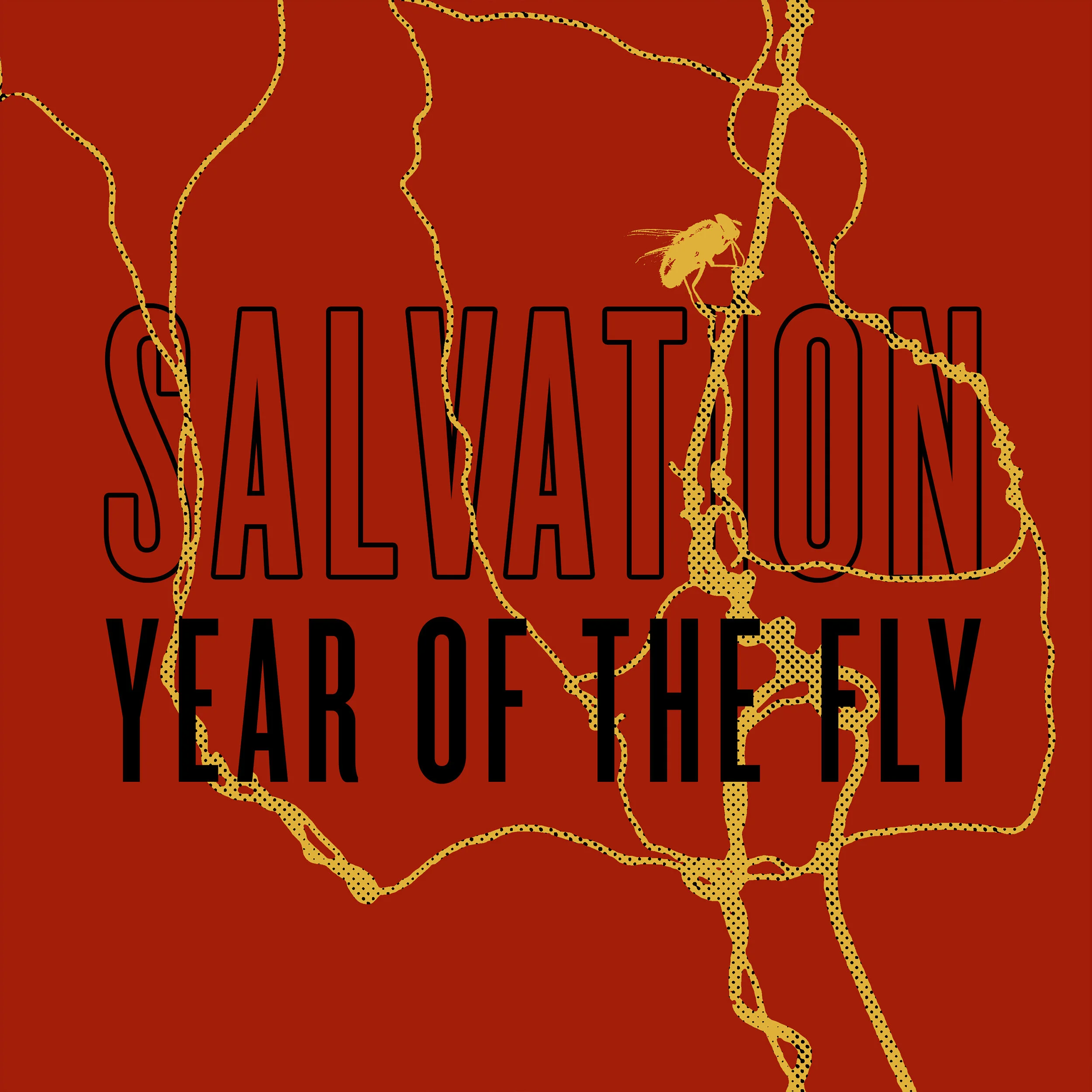 Salvation - Year of the Fly video 