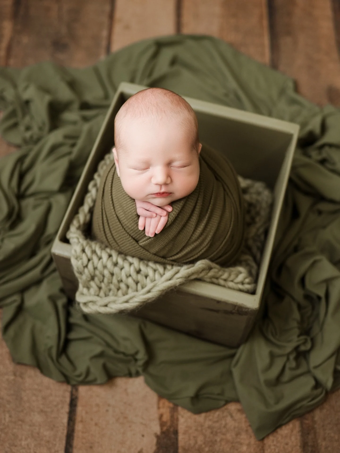 Welcome Shiloh, and all his sweetness 💙