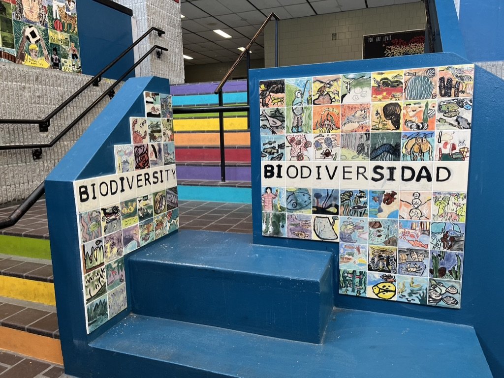Biodiversity-Biodiversidad Panels E and F (1).jpeg