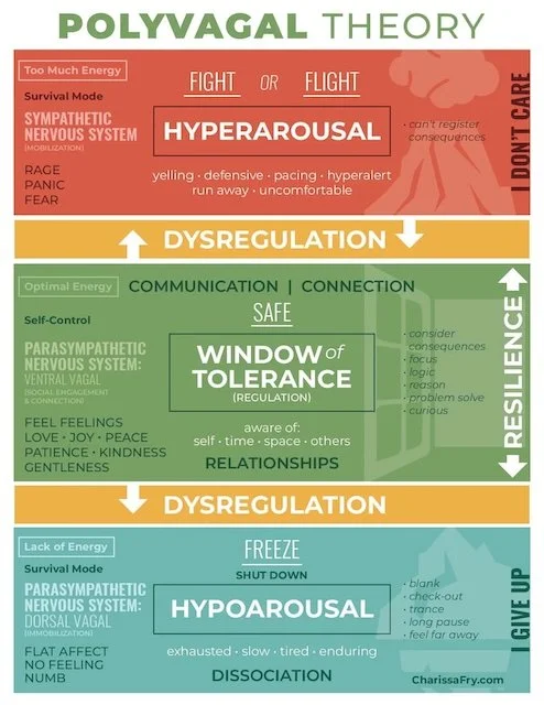 Polyvagal Theory and the Window of Tolerance: Understanding Your Nervous System