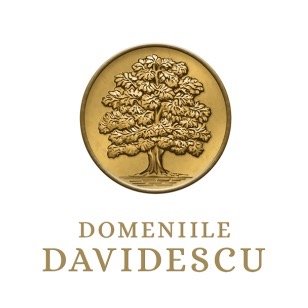 sponsor digicon domeniile davidescu.jpeg