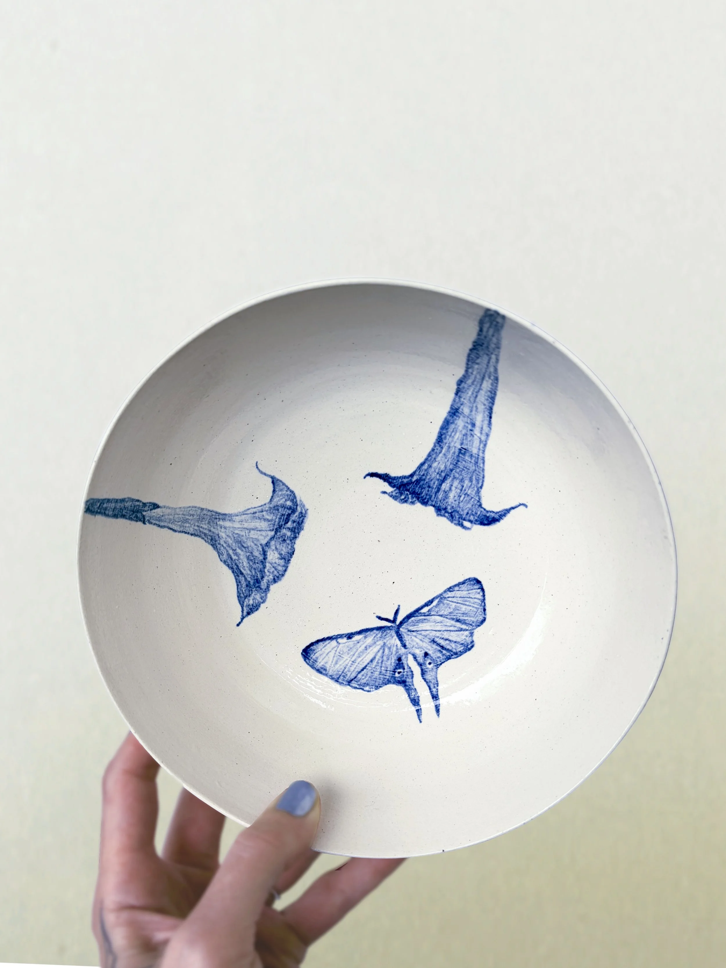 Moth_Bowl.jpeg
