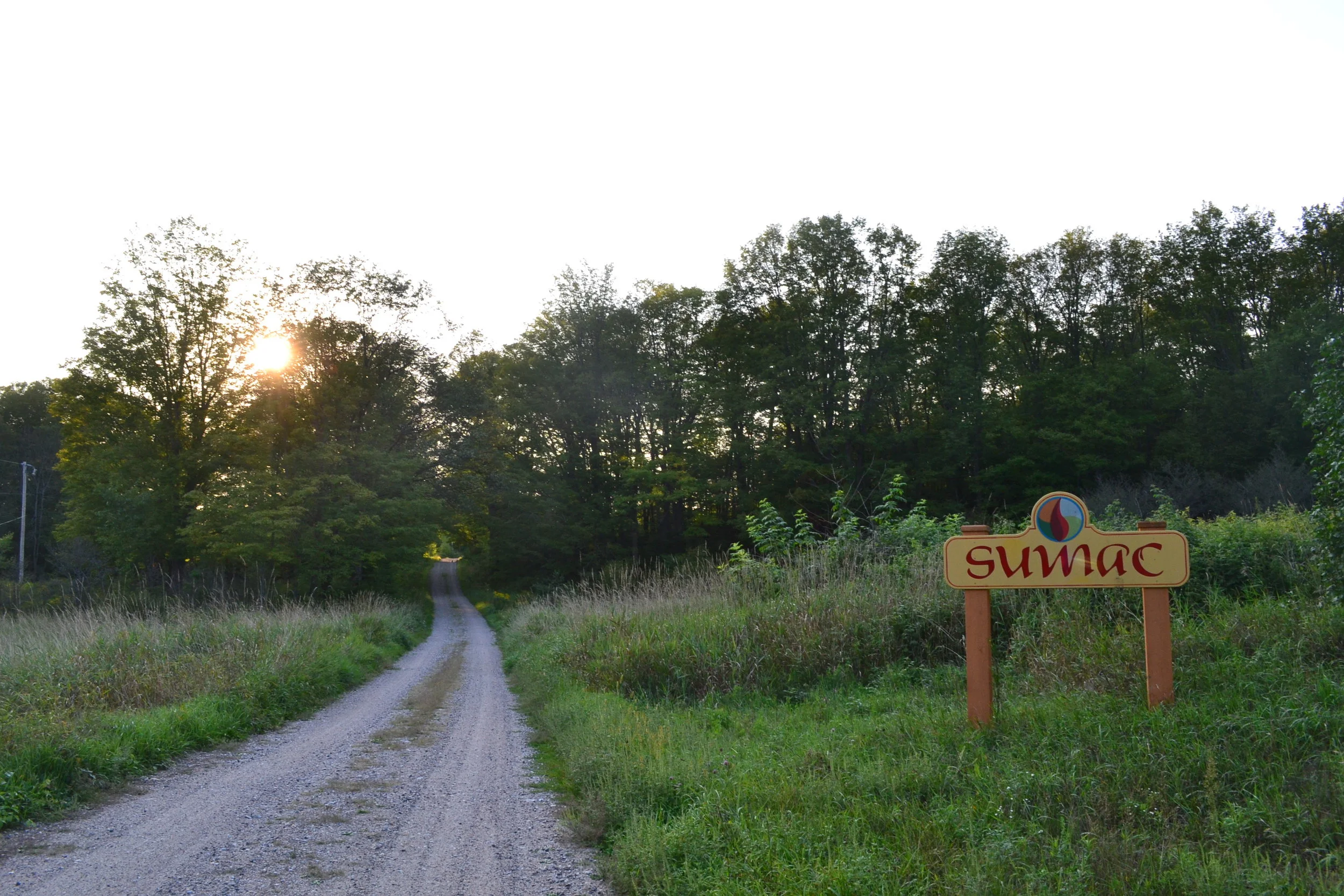 Gallery — Sumac Centre