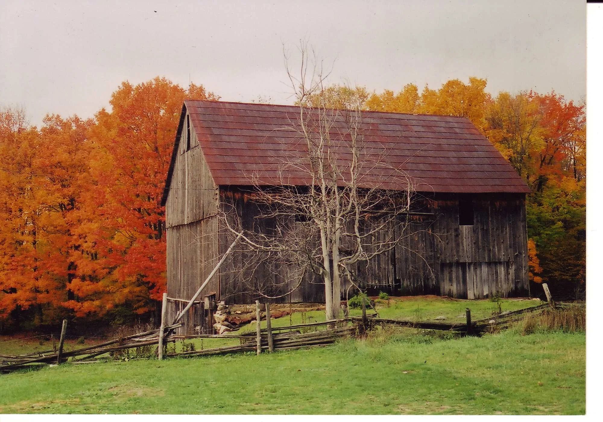 Gallery — Sumac Centre