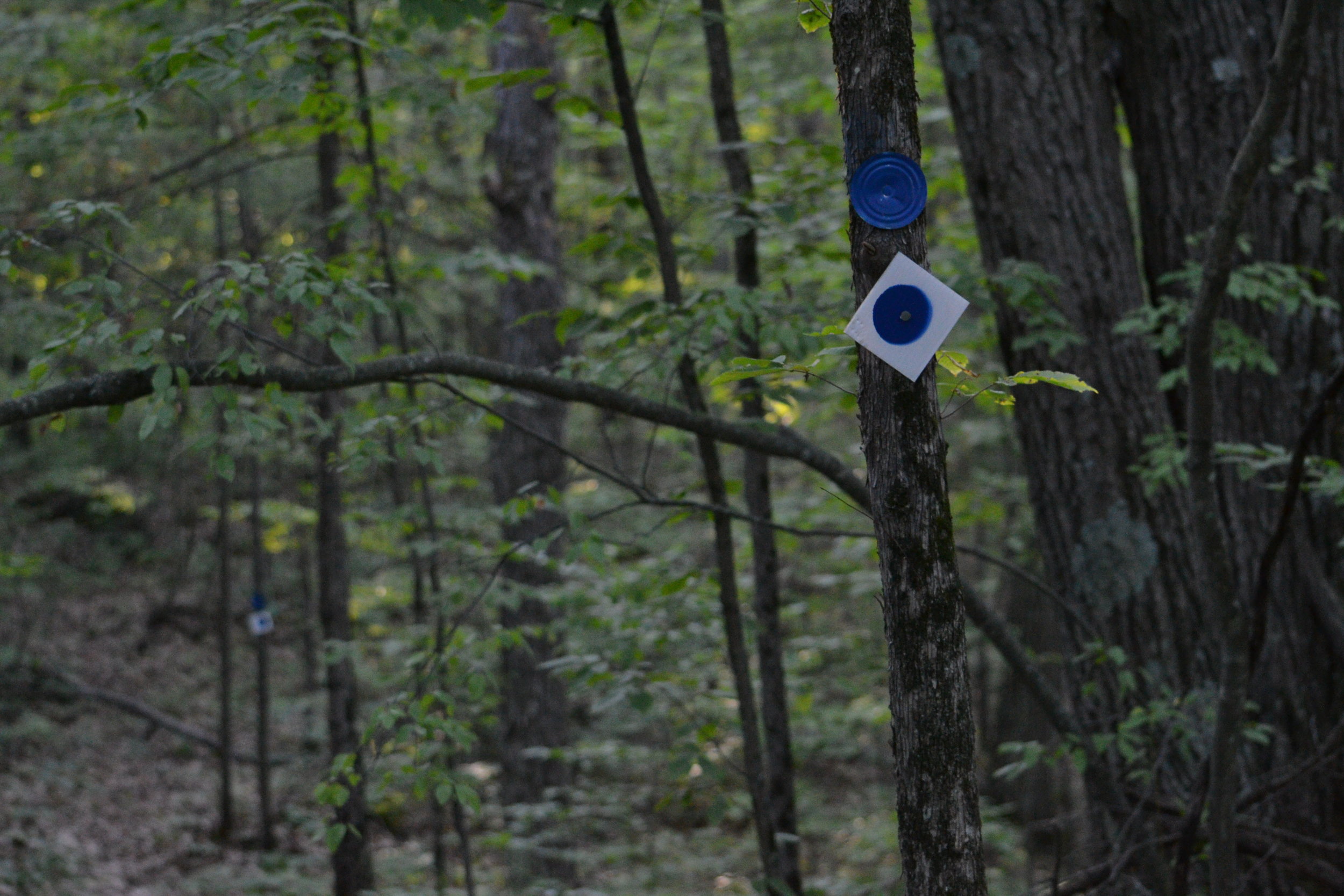 Gallery — Sumac Centre