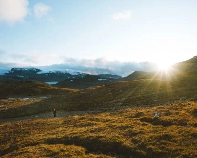 Mediator Musings: Land