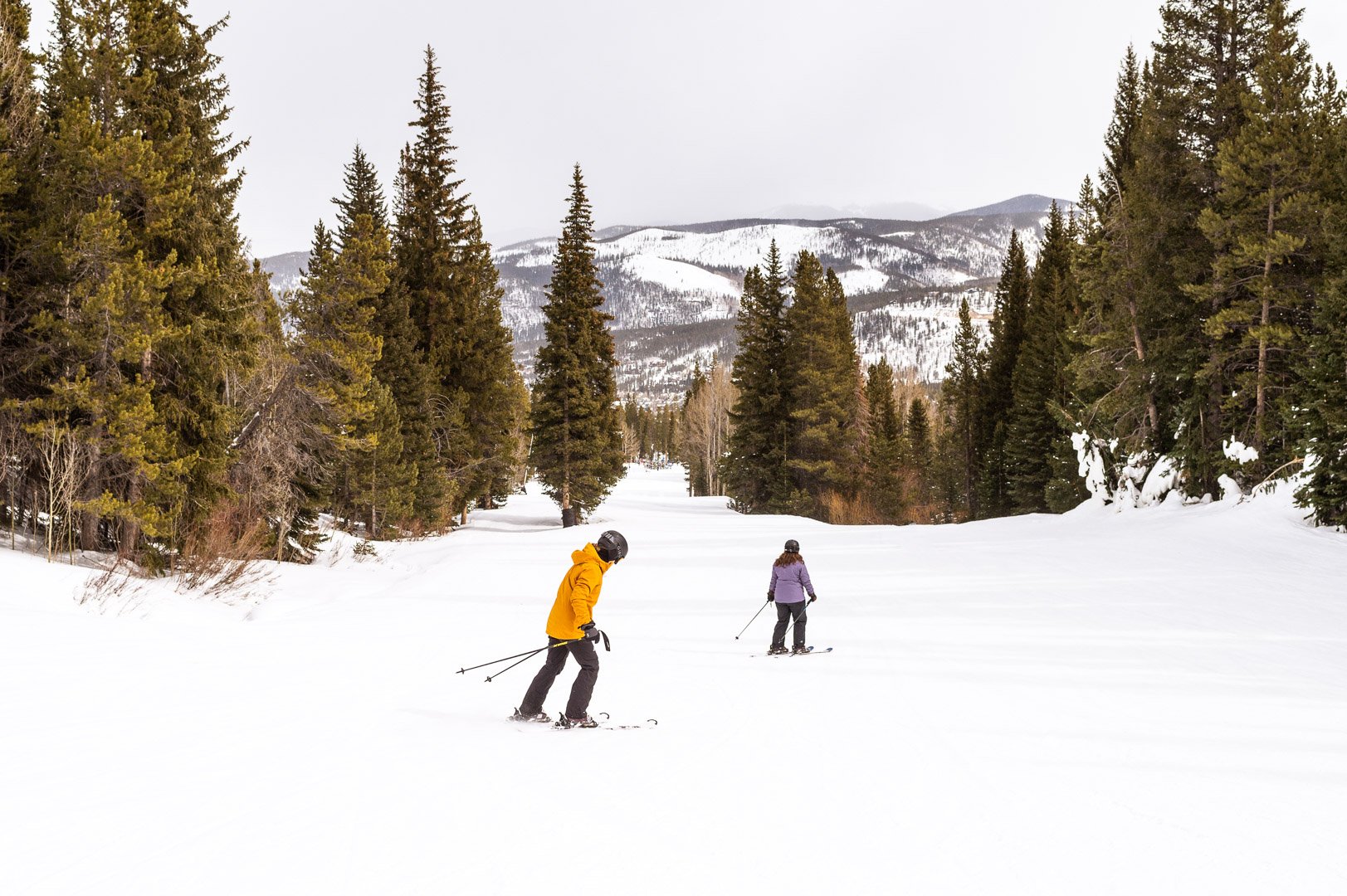 LGBTQ+ Skiing Engagement