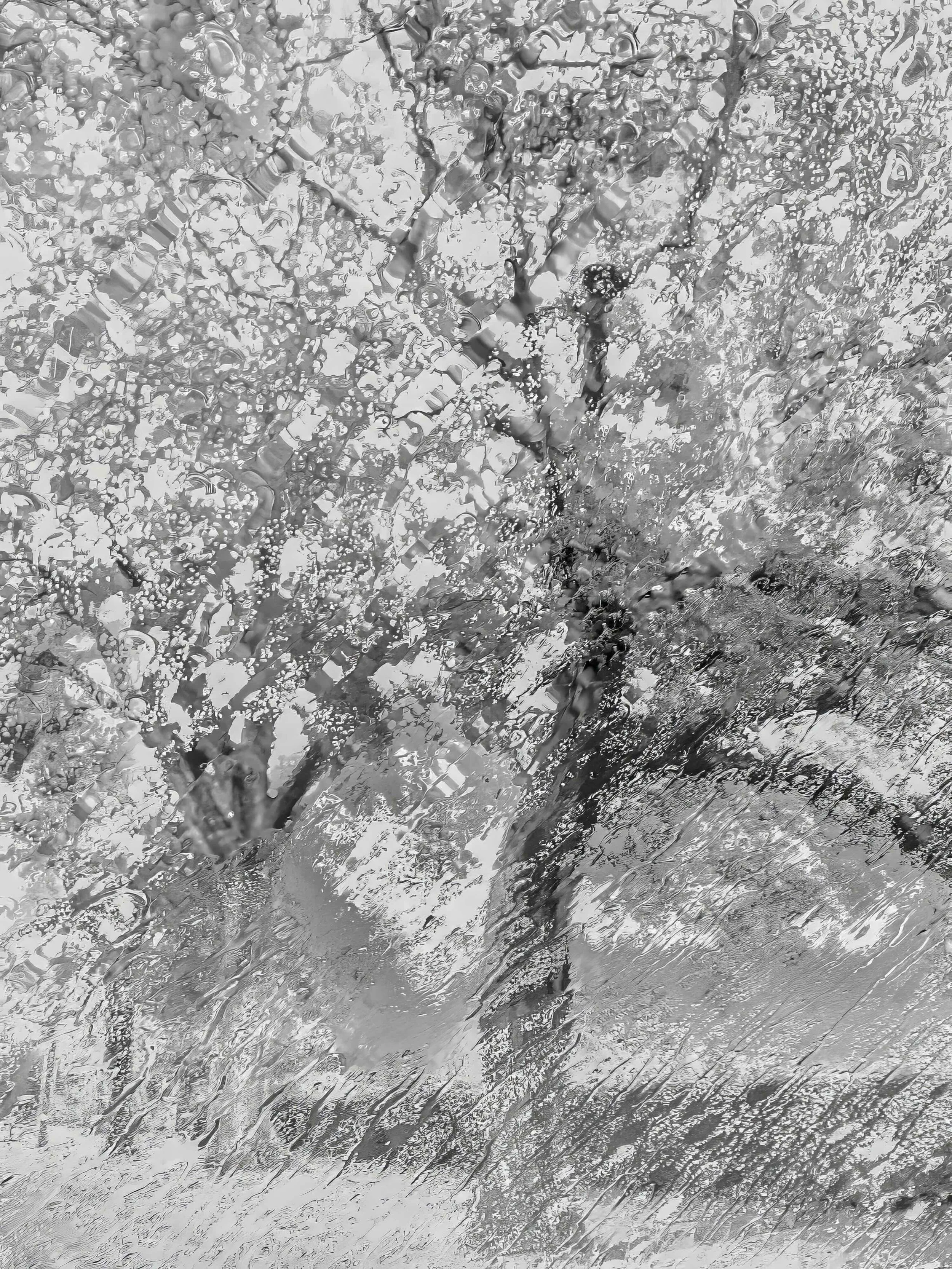 RainyTrees-RI.jpeg