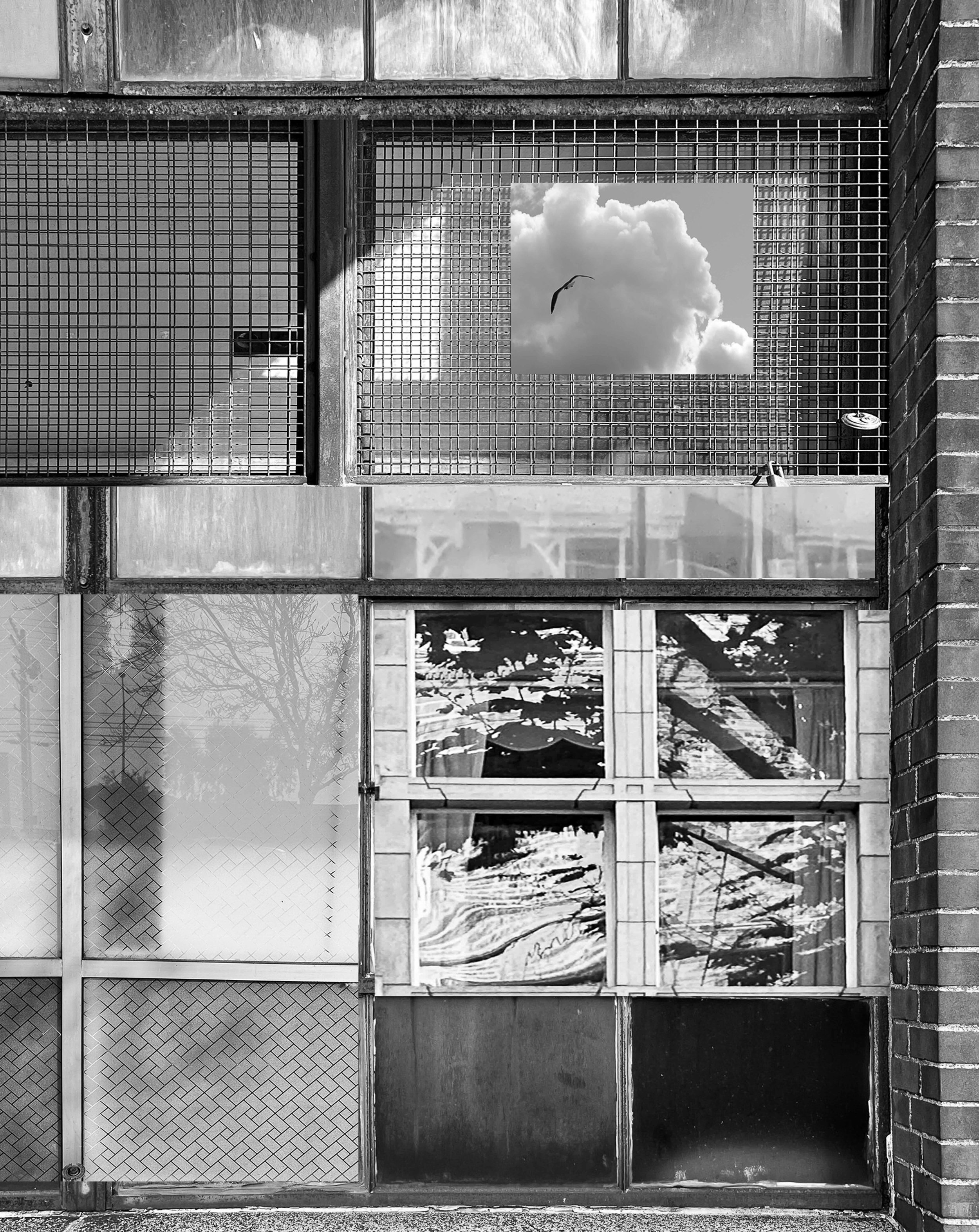 WindowCollage.jpeg