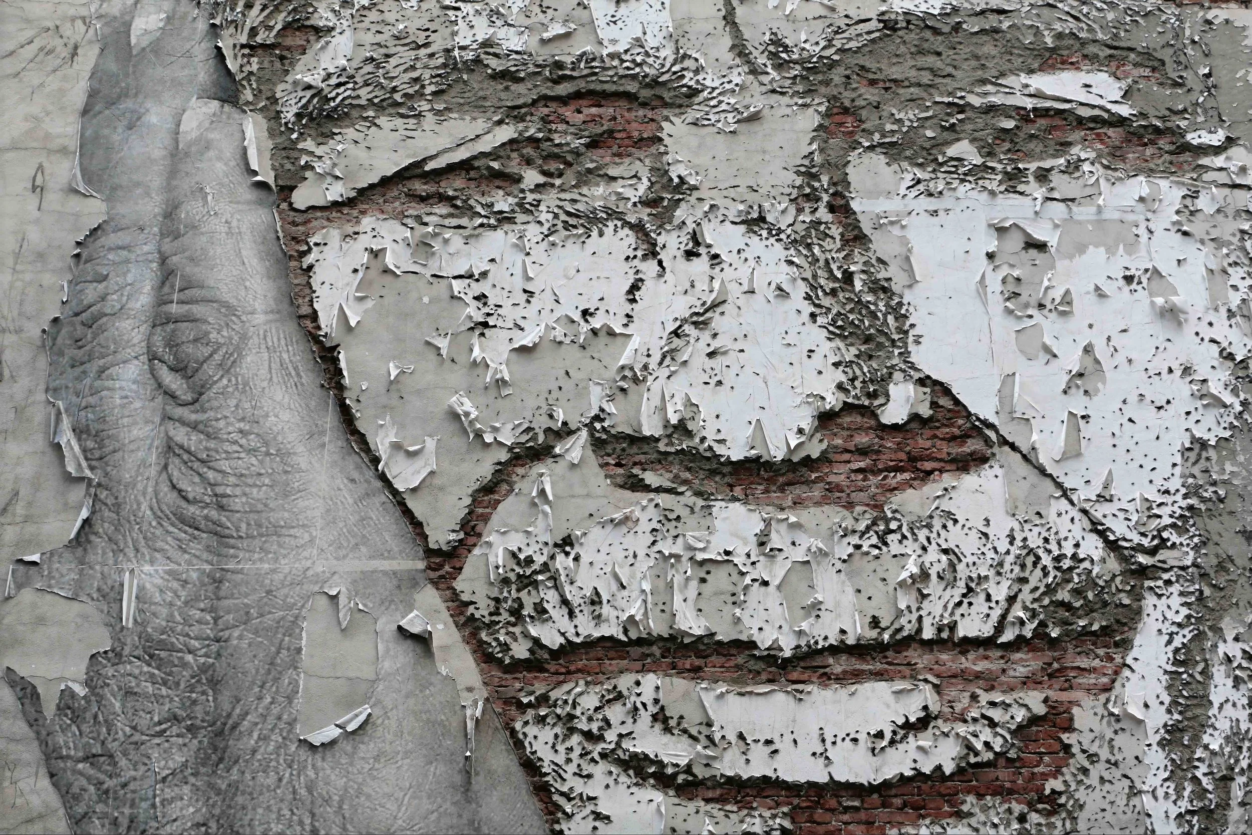 PeelingPhotoManWall.jpeg