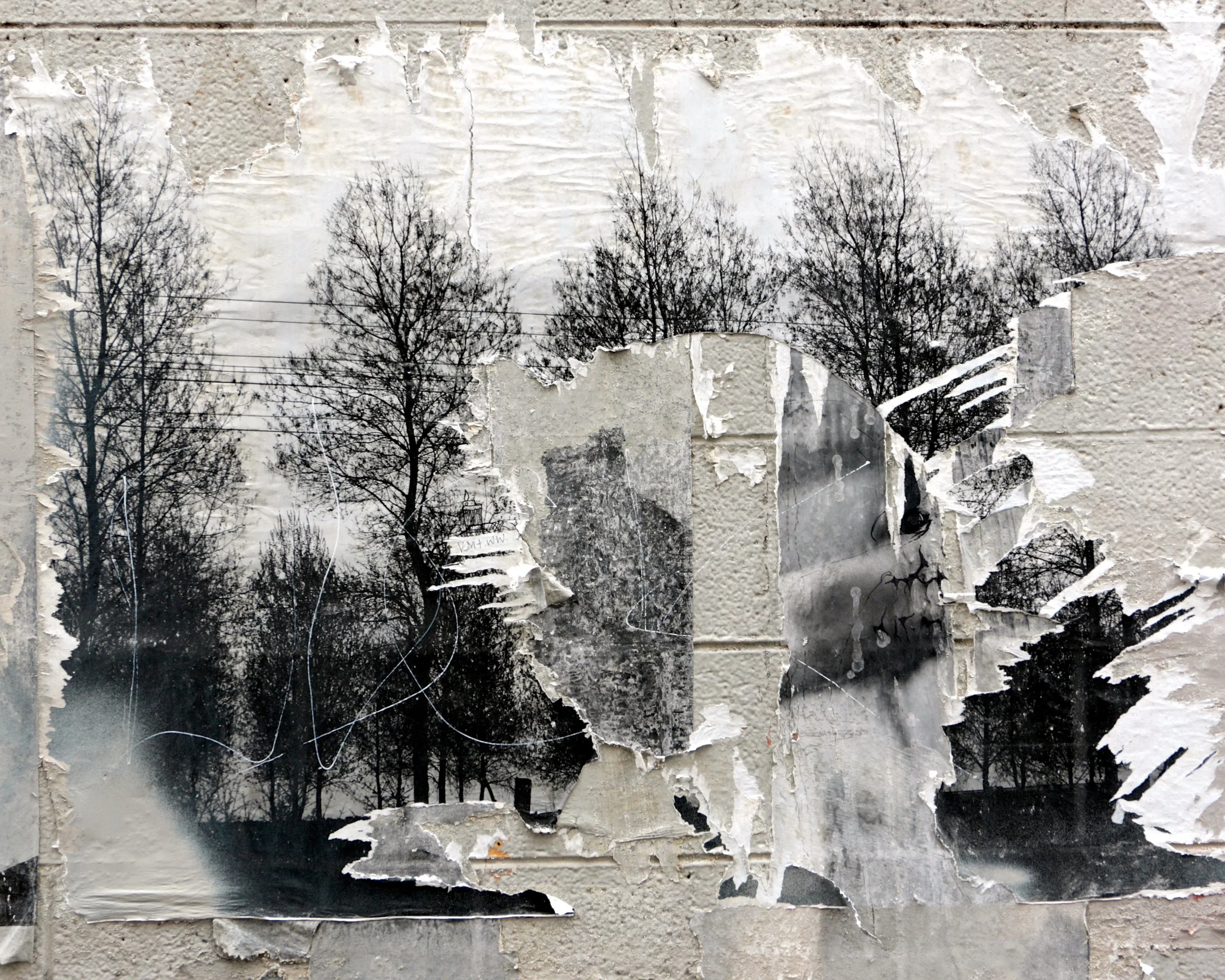 Ripped landscape with trees.jpg