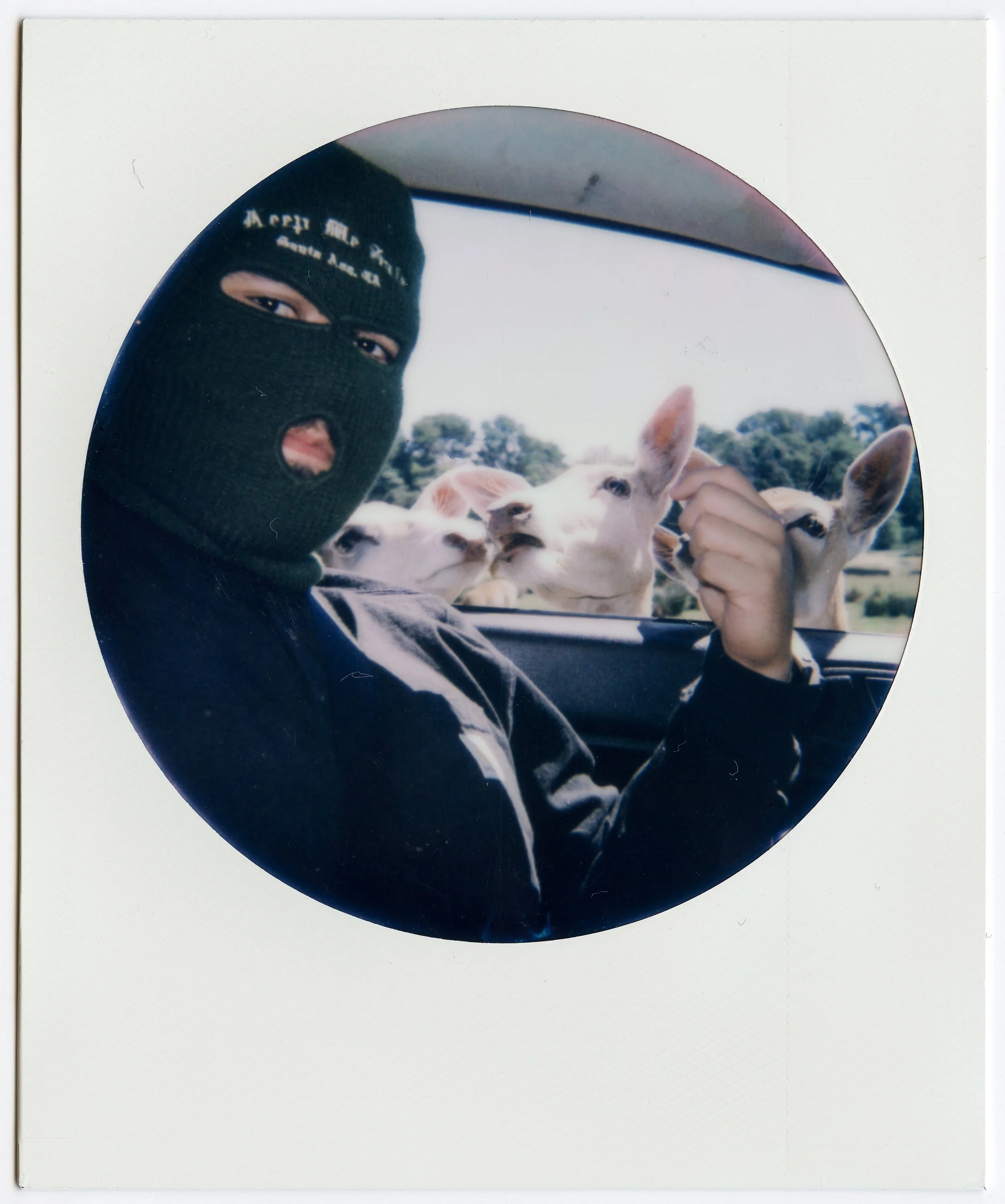 Foos in nature WA redu-4.JPG