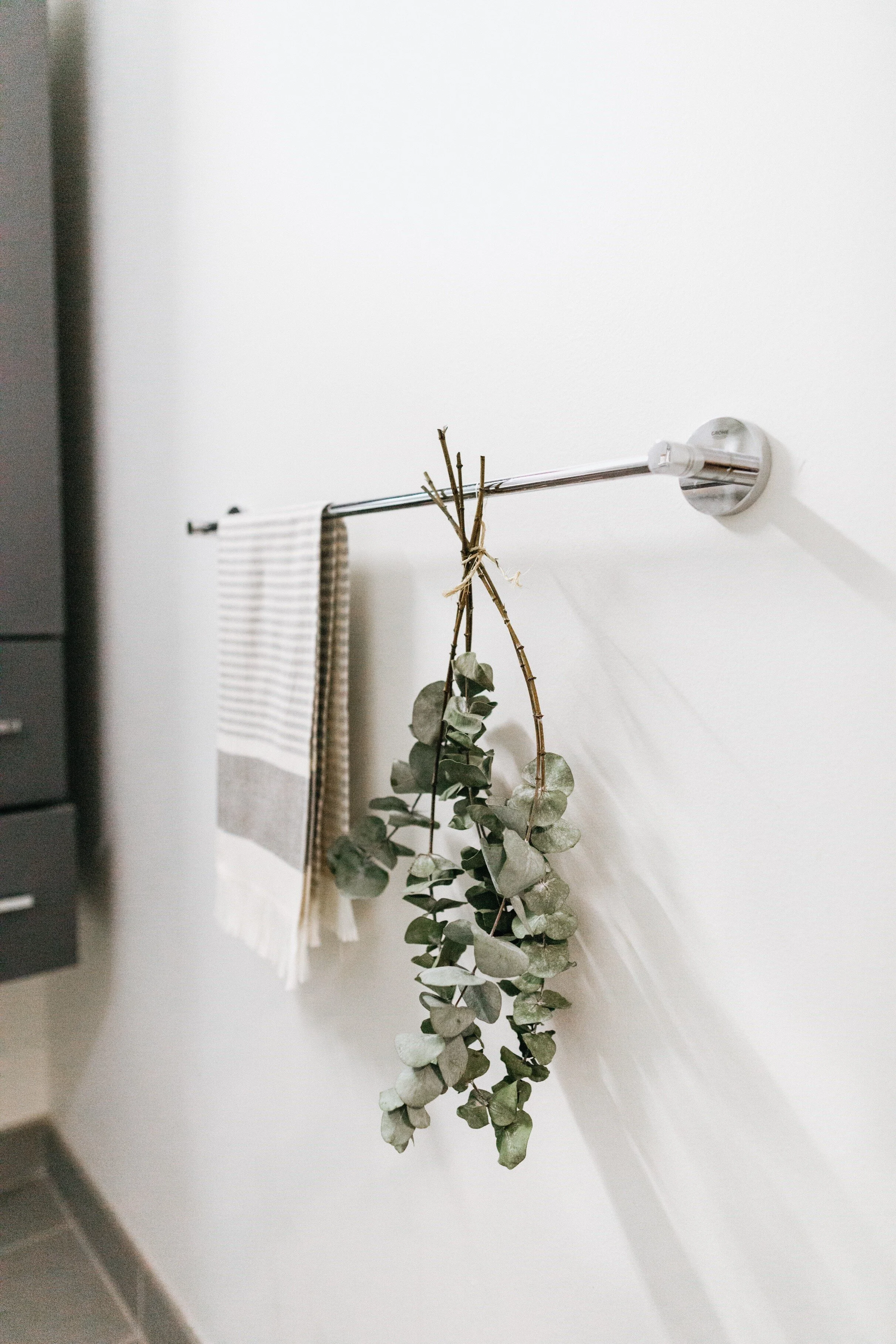 Allison Ruda Interior Design