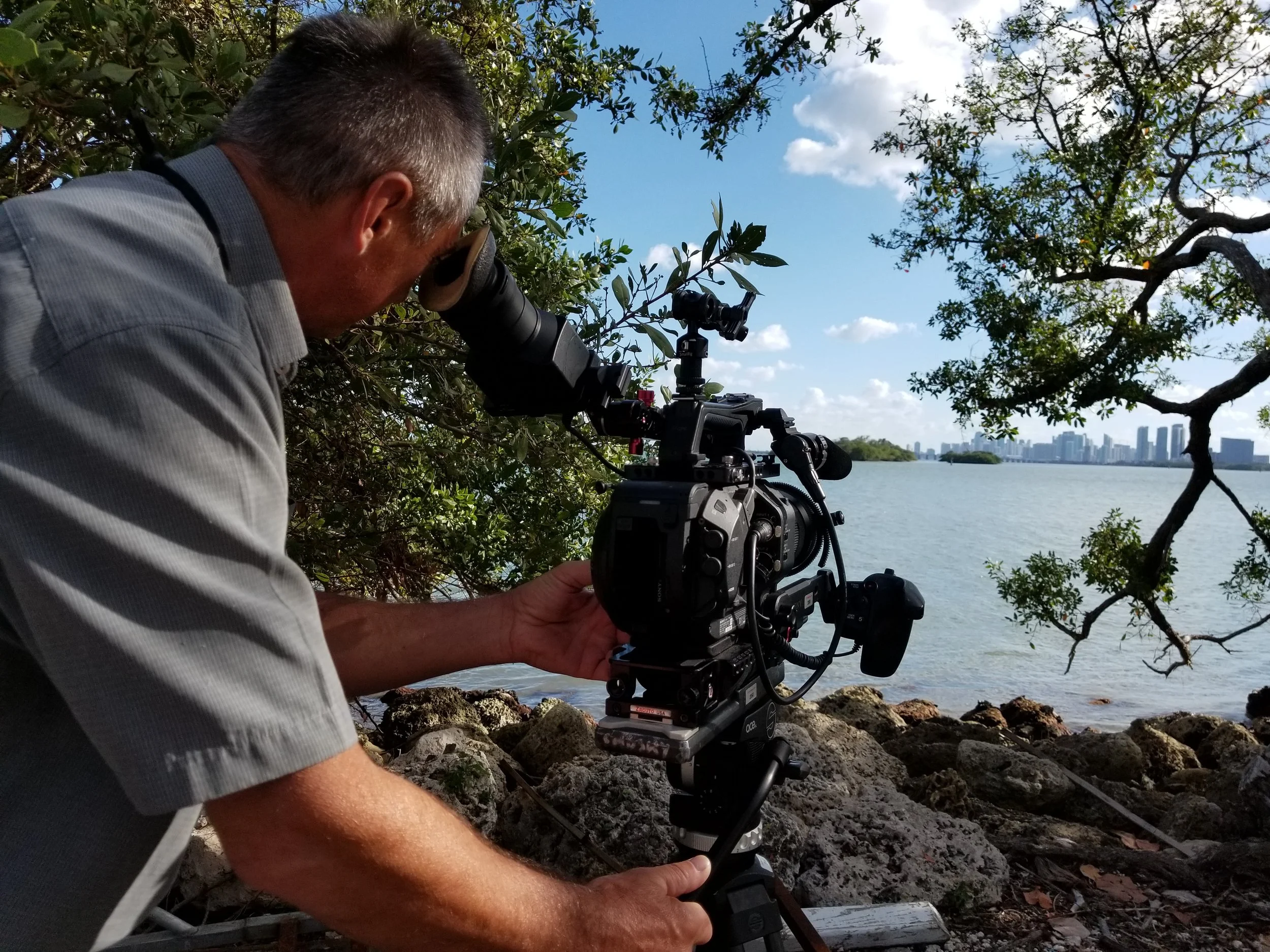 Miami scene set for a recent docu-series