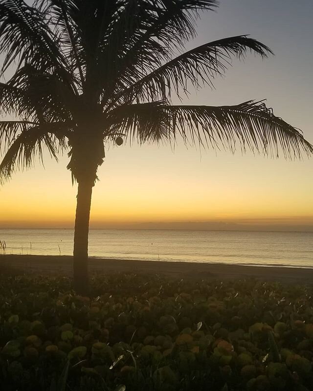 what a shame ☹️ still cant touch the sand. This morning, 6:30am Ocean Ridge FL @oceanridgecivic