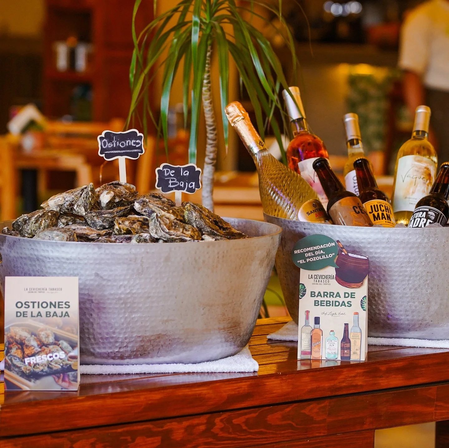 🦪 Ostiones frescos de Baja California de @solazulbajaoysters y vinos mexicanos excepcionales, como @vino_sanjuandelavaqueria de Coahuila, se unen con ingredientes tropicales en este rincón cálido y vibrante del sur mexicano, donde el c