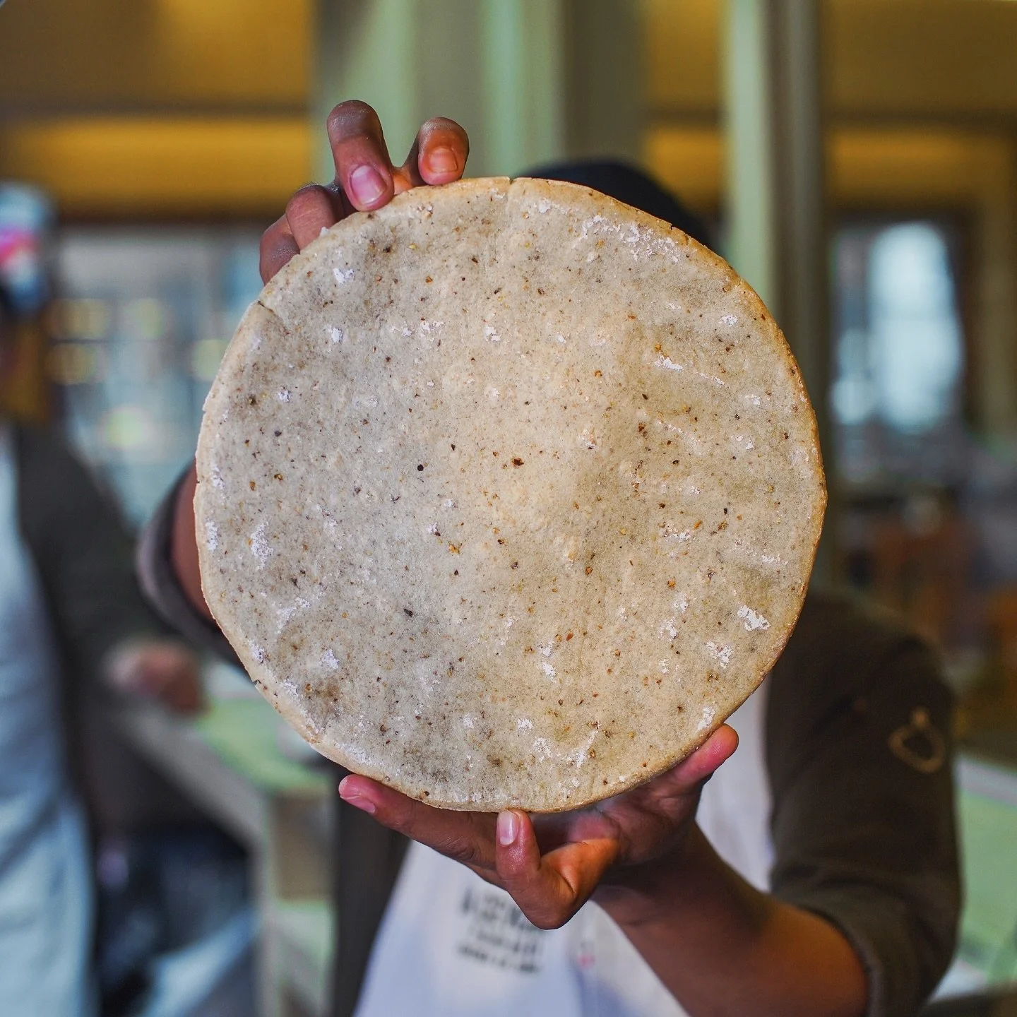 ¡Sí, señores! Esto es Tabasco 🌺
LA TORTILLA GRUESA
Una tradición culinaria que es el alma de la identidad gastronómica de nuestro querido Tabasco. Se elabora con maíz🌽 y se le pueden añadir ingredie