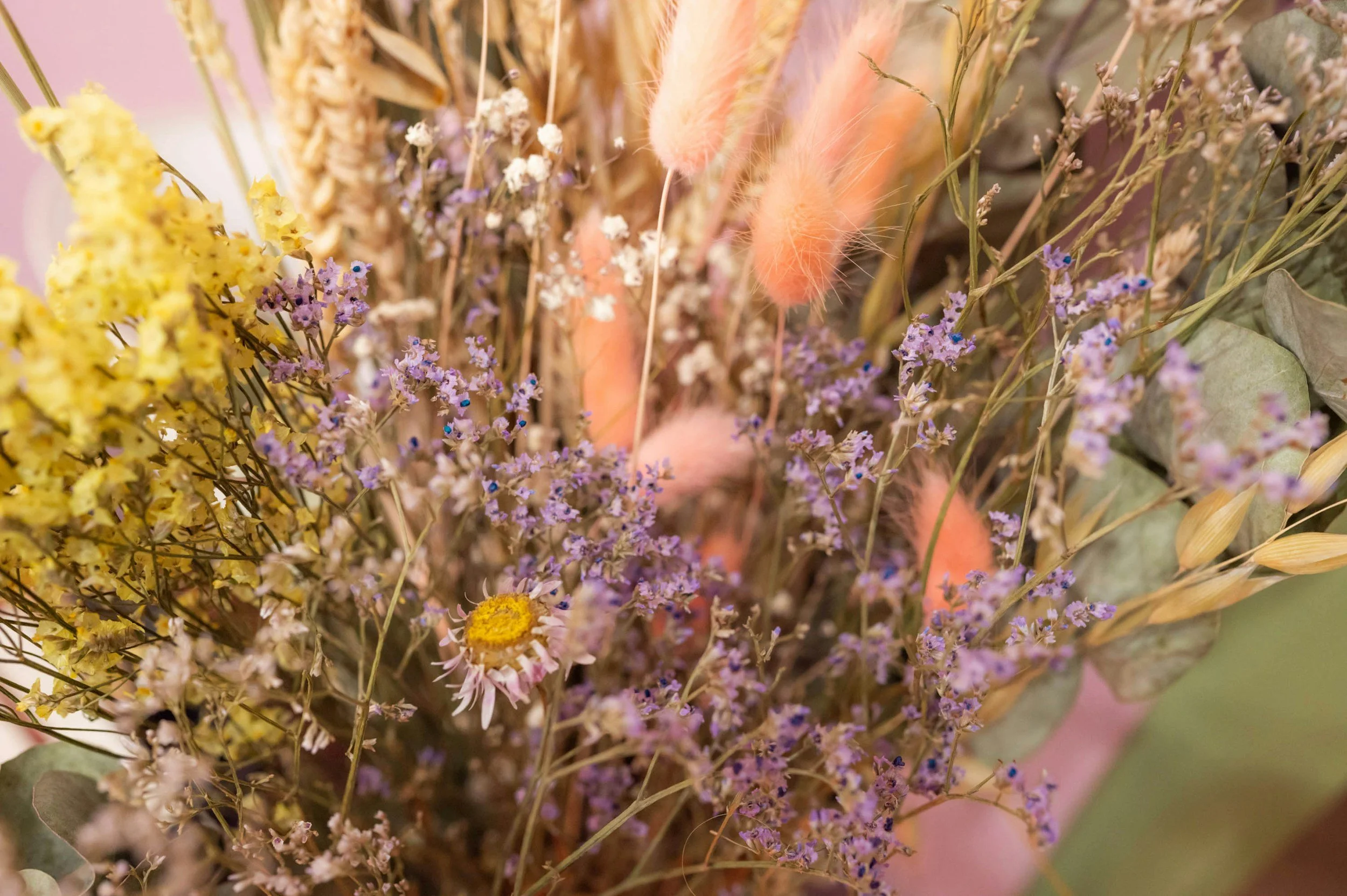 Atelier élixir d'automne "Le pouvoir des remèdes Naturels "