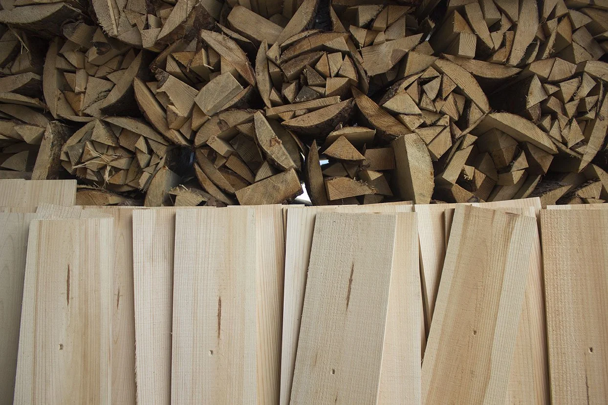 Designing Abundance: How Kizara Memo Pads Support Healthy Forests