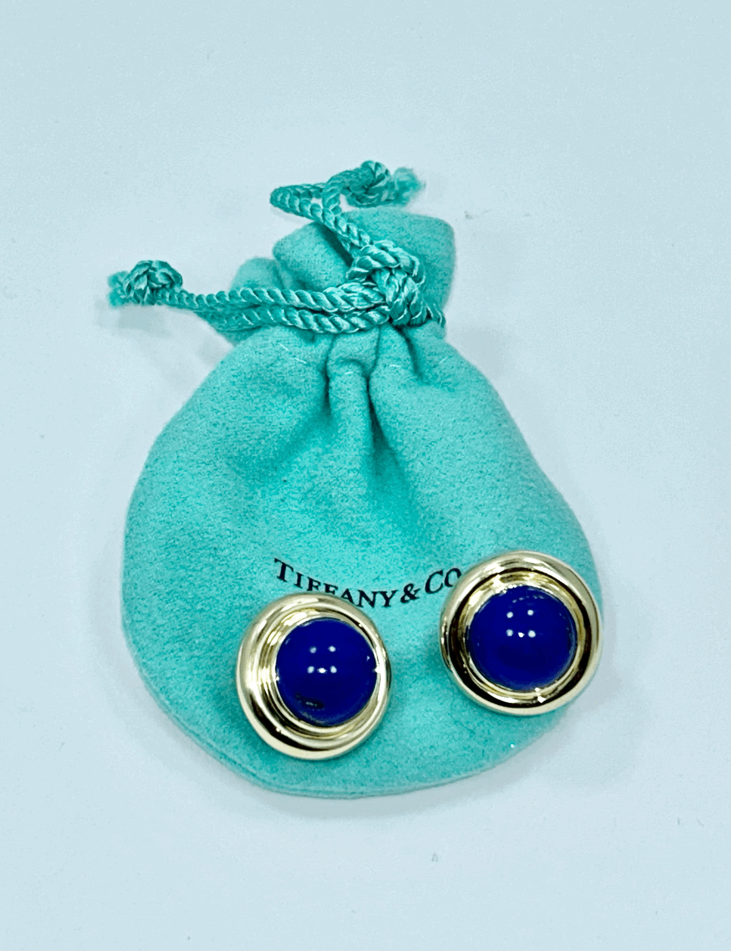 Tiffany & Co. Poloma Picasso Earrings
