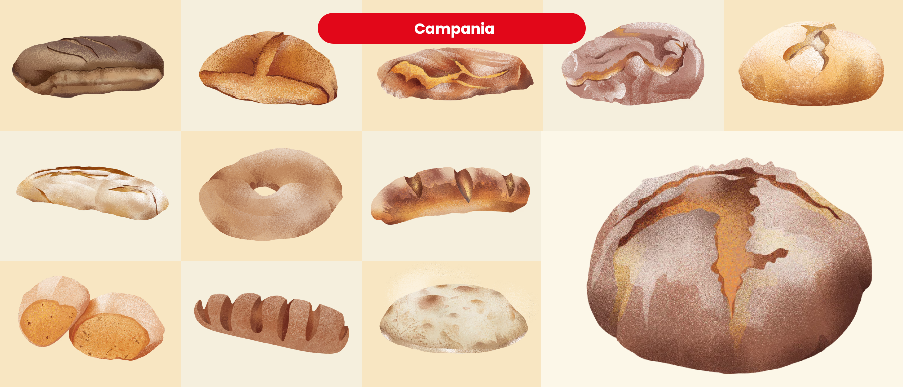 Tavola da disegno 1 copia 10.png